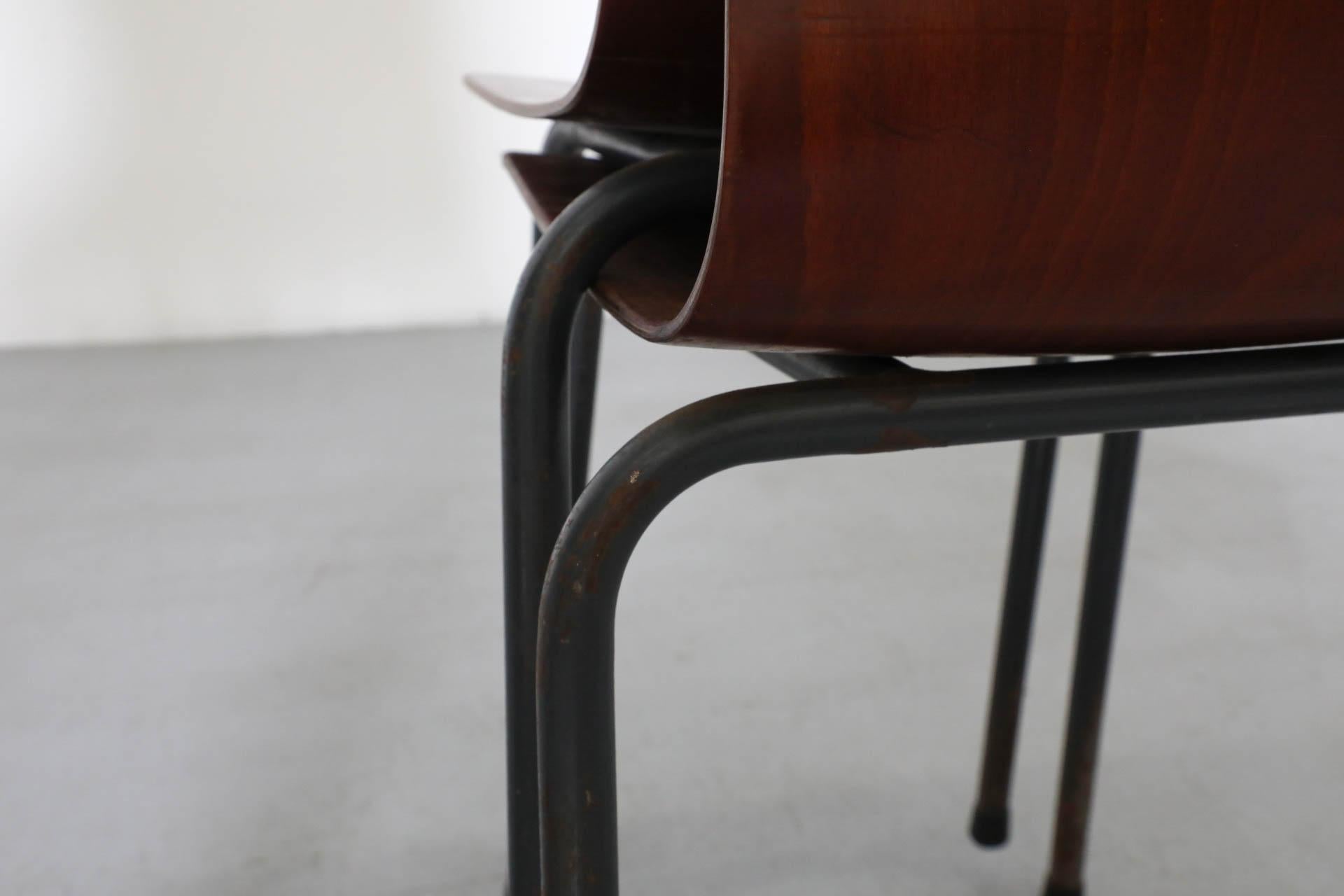 Sedie impilabili in tonalità teak con scocca in compensato curvato e gambe smaltate di grigio in vendita 3