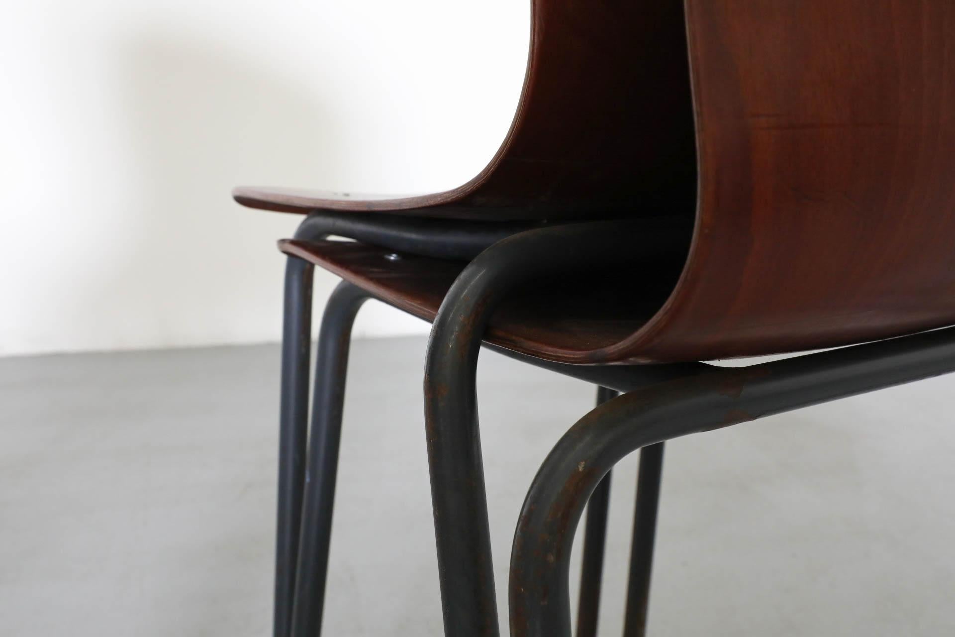 Sedie impilabili in tonalità teak con scocca in compensato curvato e gambe smaltate di grigio in vendita 4