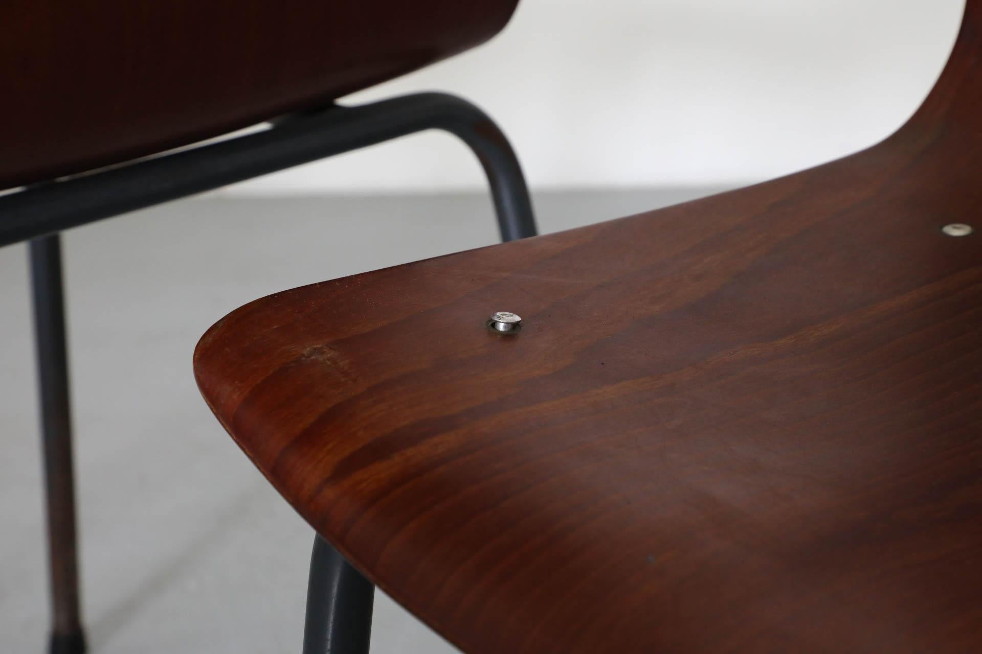 Sedie impilabili in tonalità teak con scocca in compensato curvato e gambe smaltate di grigio in vendita 9