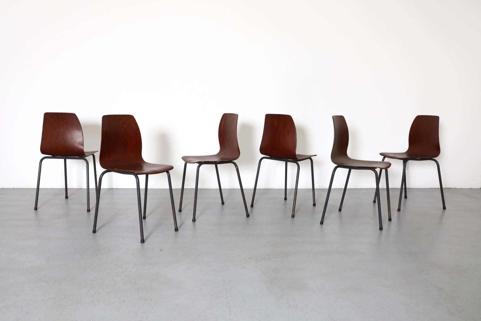 Sedie impilabili semplici e semplicemente belle, realizzate con scocche in compensato curvato e gambe e telai in metallo smaltato grigio scuro. Le conchiglie in tonalità teak si adattano bene a diverse tonalità di legno. Piccolo di statura, grande