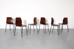 Teak Toned Stacking Chairs with Molded Bent Plywood Shells & Gray Enameled Legs