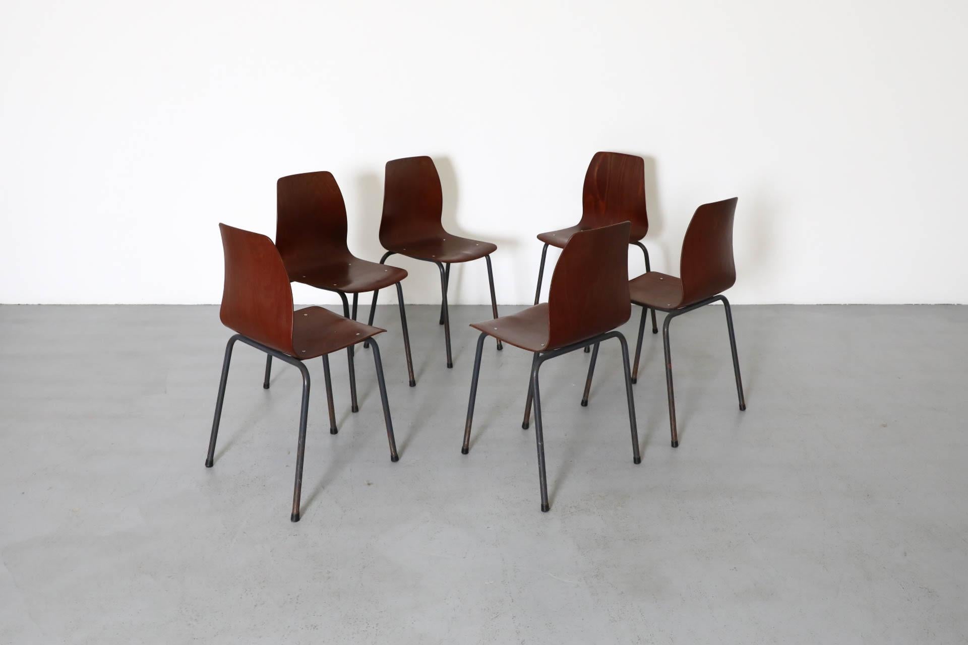 Mid-Century moderno Sedie impilabili in tonalità teak con scocca in compensato curvato e gambe smaltate di grigio in vendita