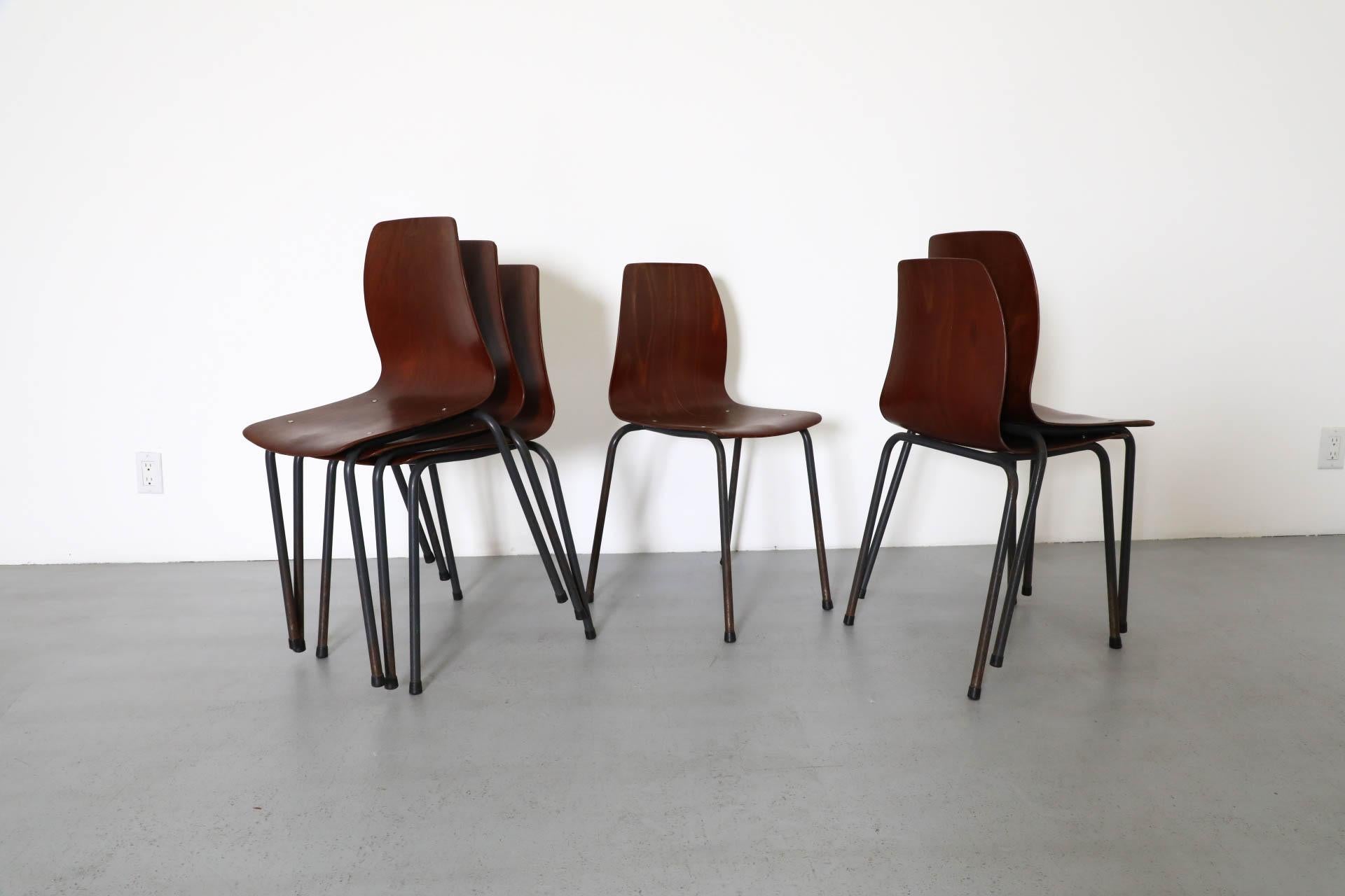 Sedie impilabili in tonalità teak con scocca in compensato curvato e gambe smaltate di grigio In condizioni buone in vendita a Los Angeles, CA