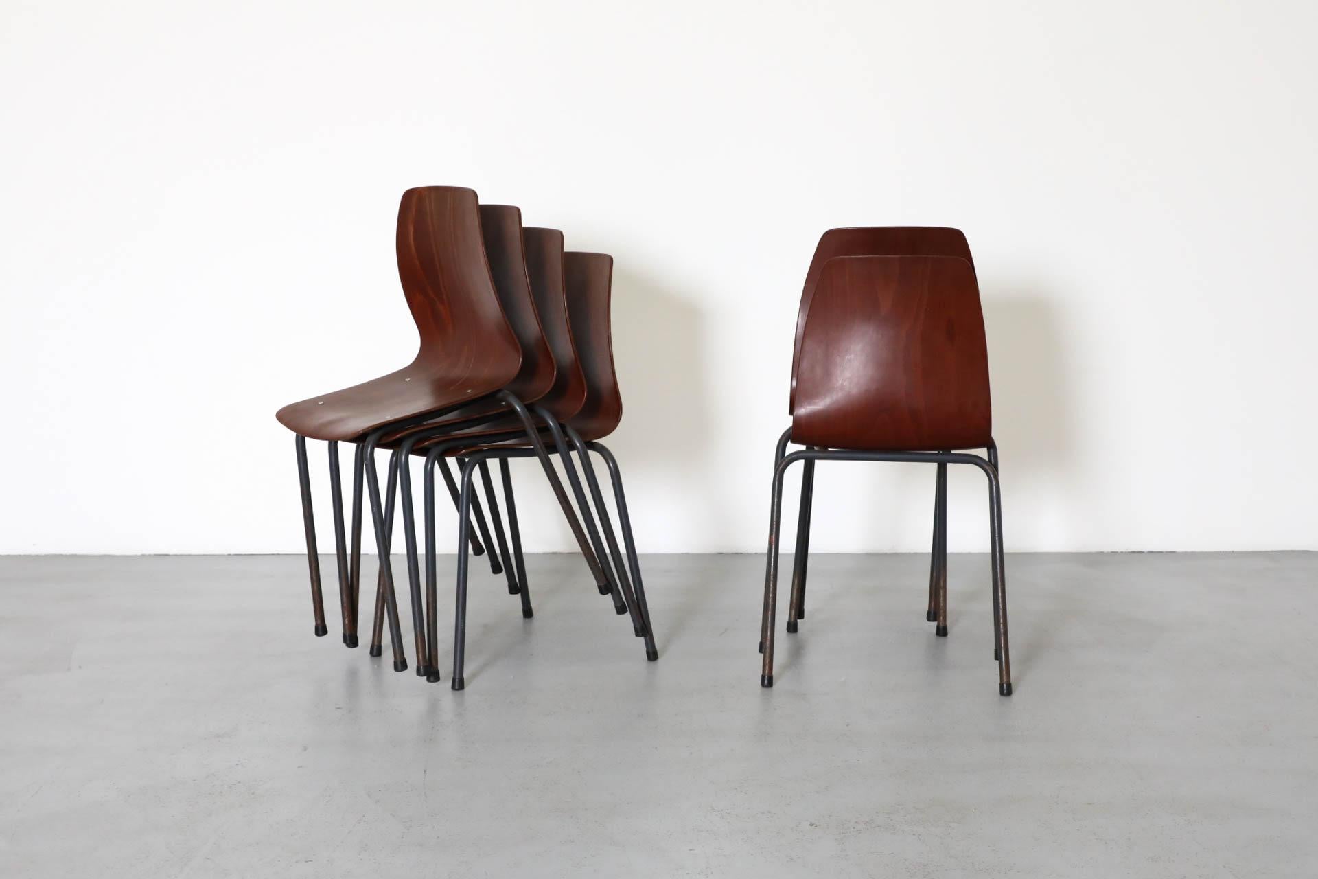 XX secolo Sedie impilabili in tonalità teak con scocca in compensato curvato e gambe smaltate di grigio in vendita