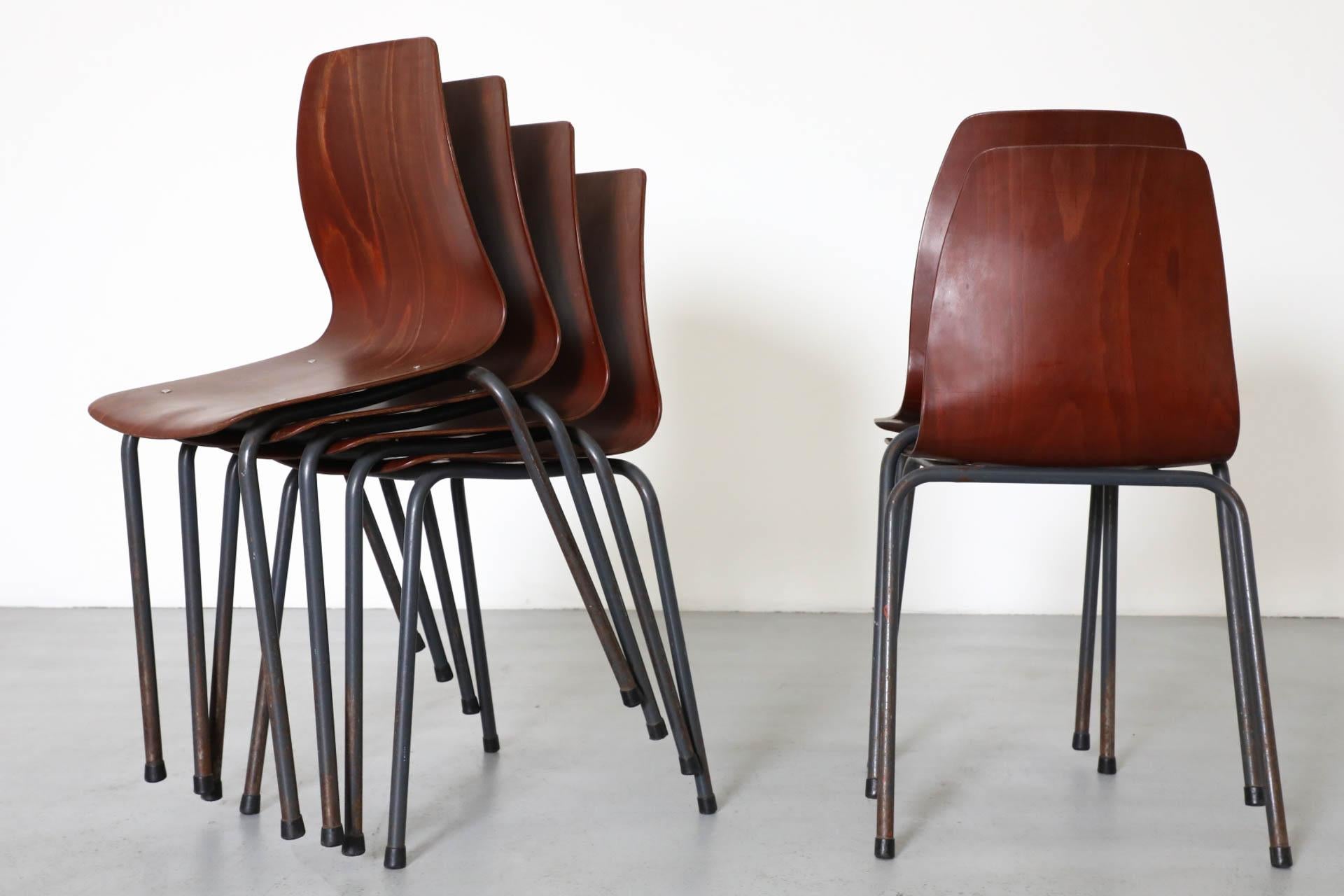 Metallo Sedie impilabili in tonalità teak con scocca in compensato curvato e gambe smaltate di grigio in vendita