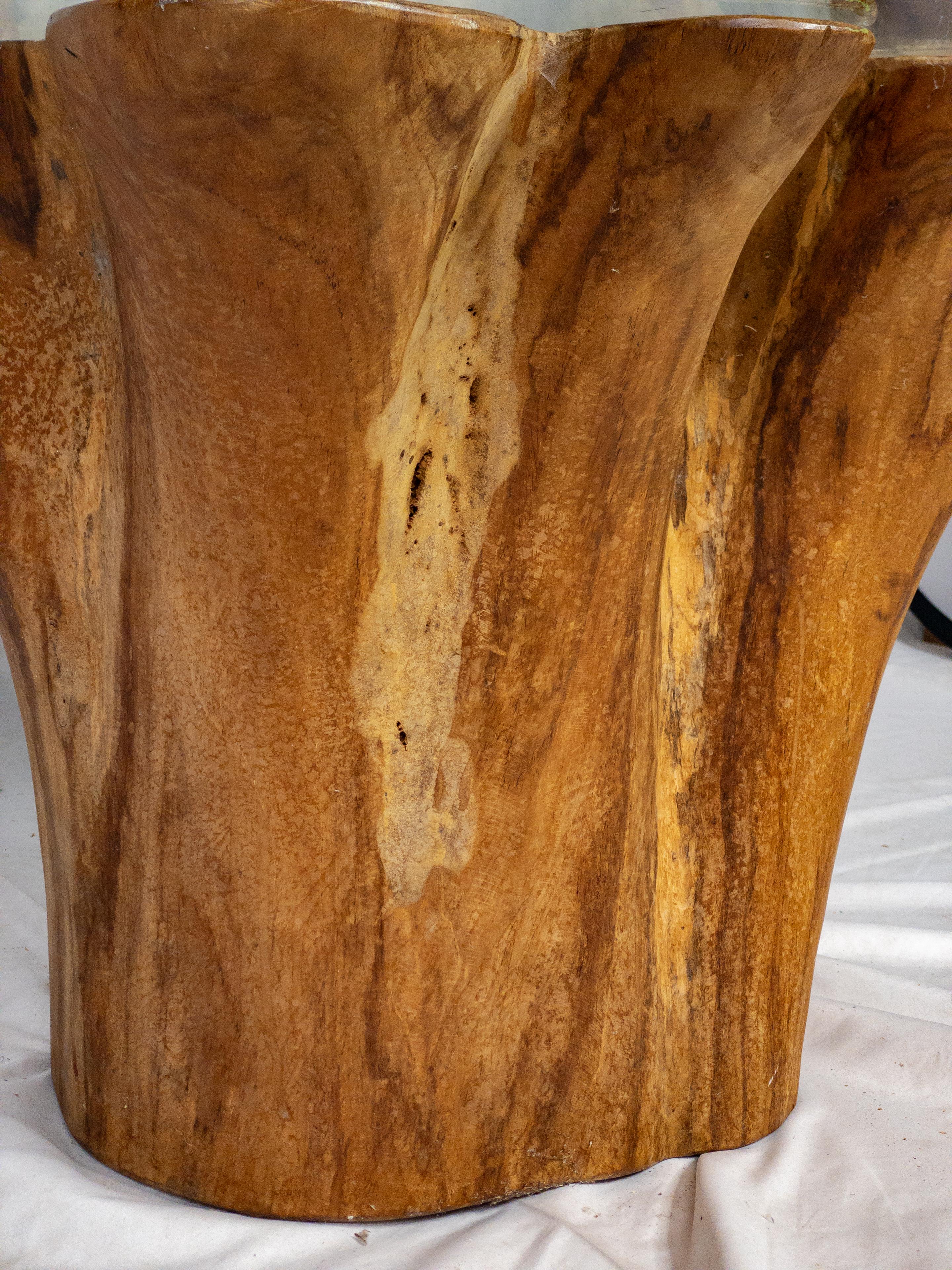 tree trunk and glass coffee table