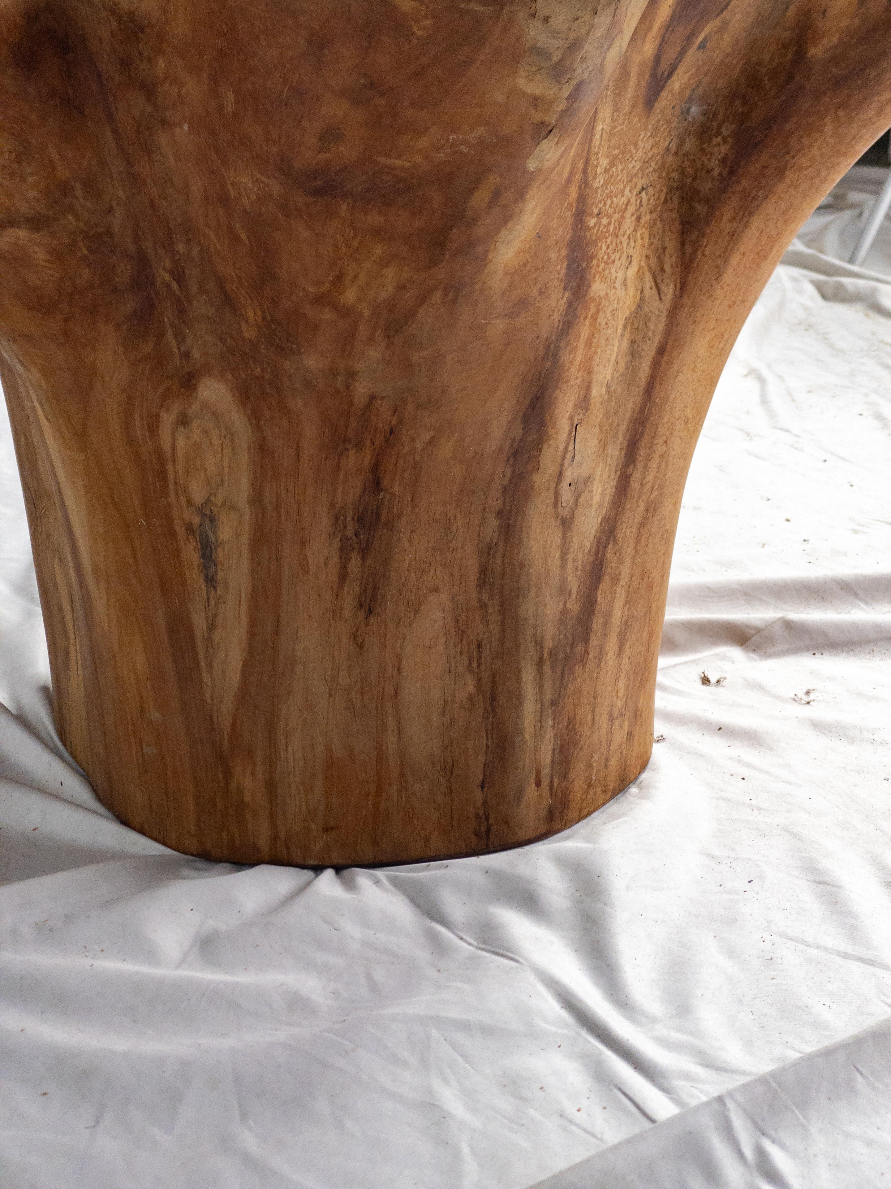 Teak Tree Trunk Coffee Table In Good Condition For Sale In Houston, TX