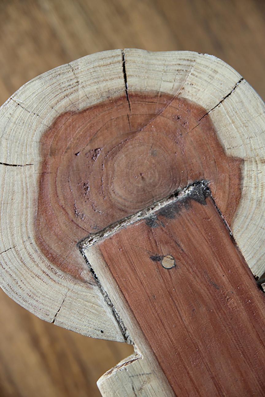 Banco de Madera de Teca, Orgánico Moderno, Patas Cilíndricas en venta 3