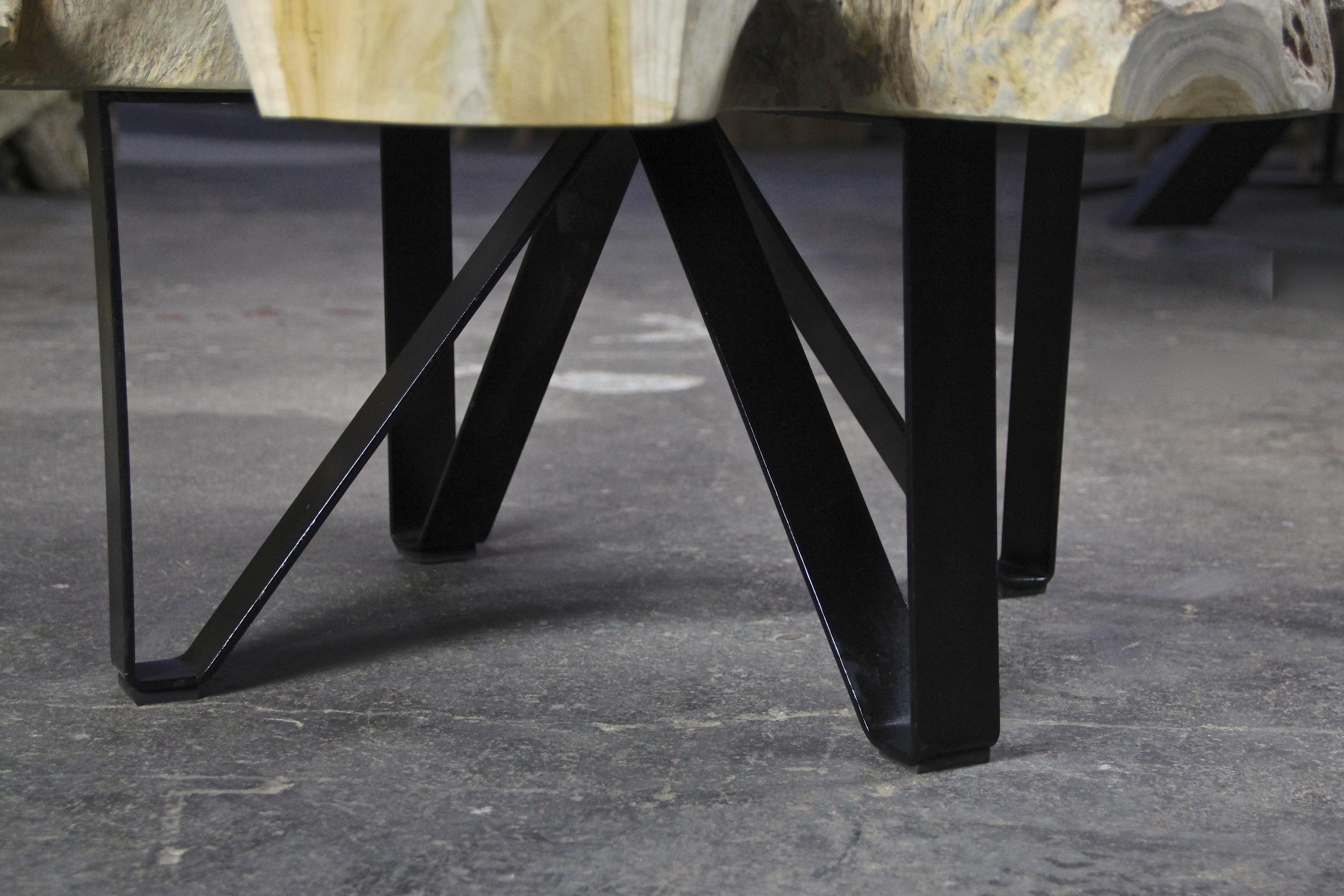 Lacquered Teak Wood Coffee Table/ Sofa Table on Black Metal Feet, Organic Modern
