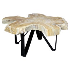 Teak Wood Coffee Table/ Sofa Table on Black Metal Feet, Organic Modern
