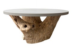 Teak Wood Organic Form Base mit gegossener Zementplatte Esstisch
