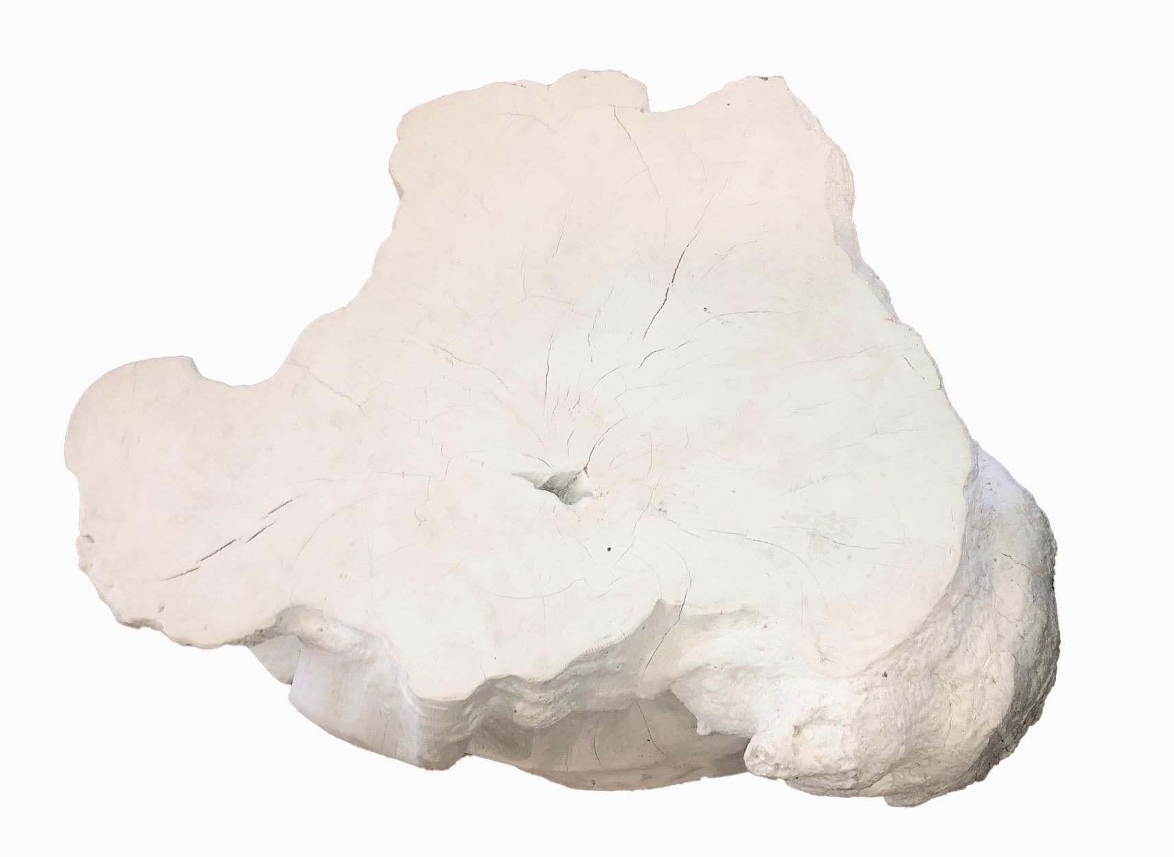 Indonesian Teak Wood Root Coffee Table Painted White For Sale