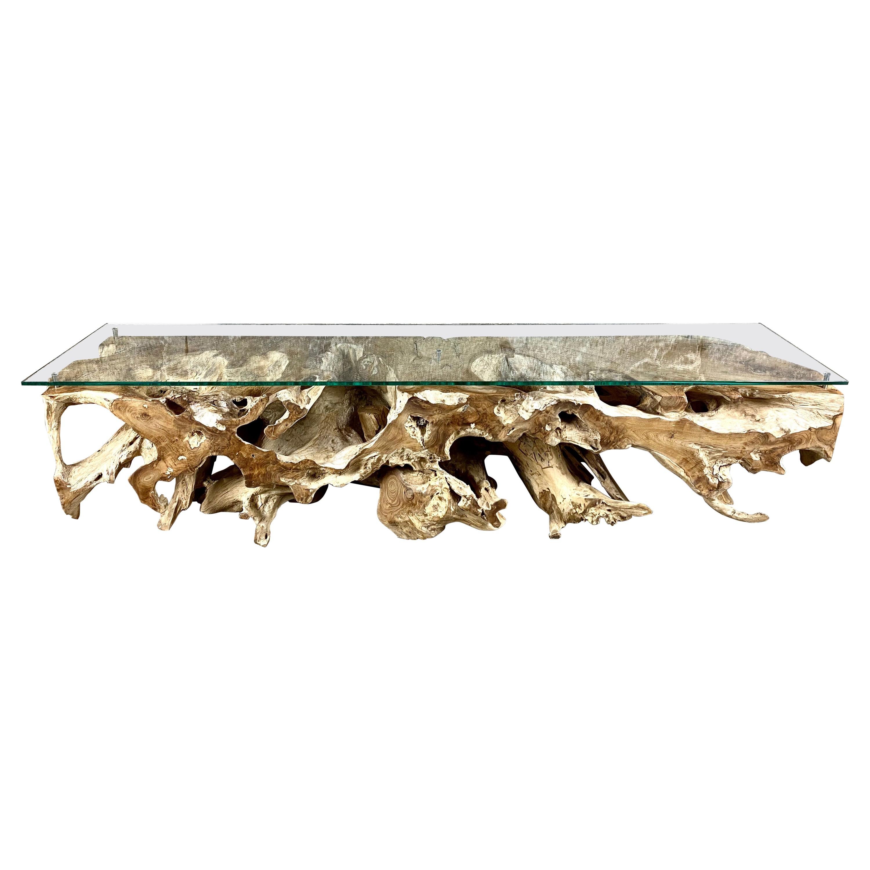 Teak Wood Root Console / Lowboard with Safety Glass Top, Organic Modern, 2021