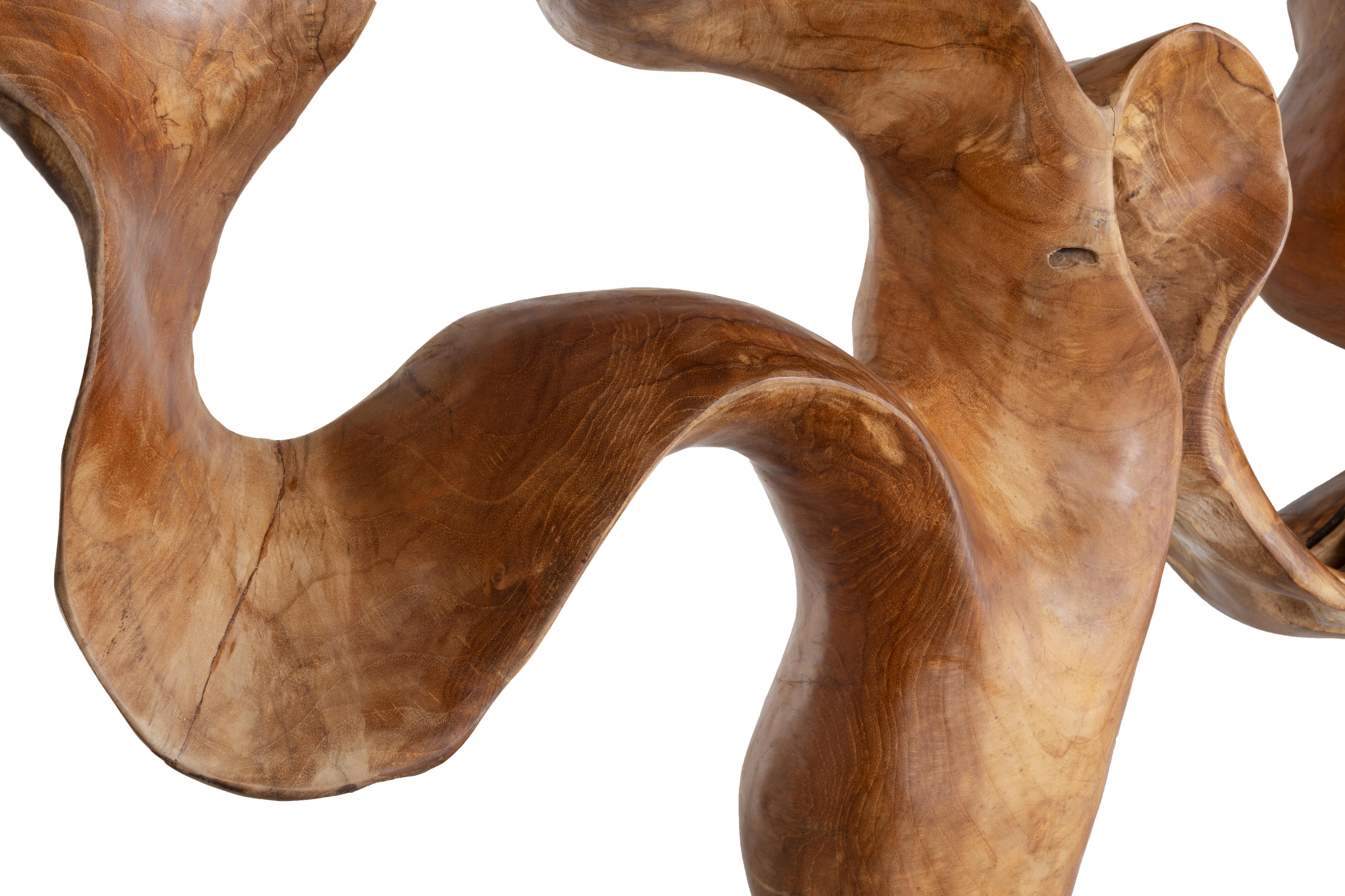 Teakwood Organic Sculptural Accessory For Sale 9