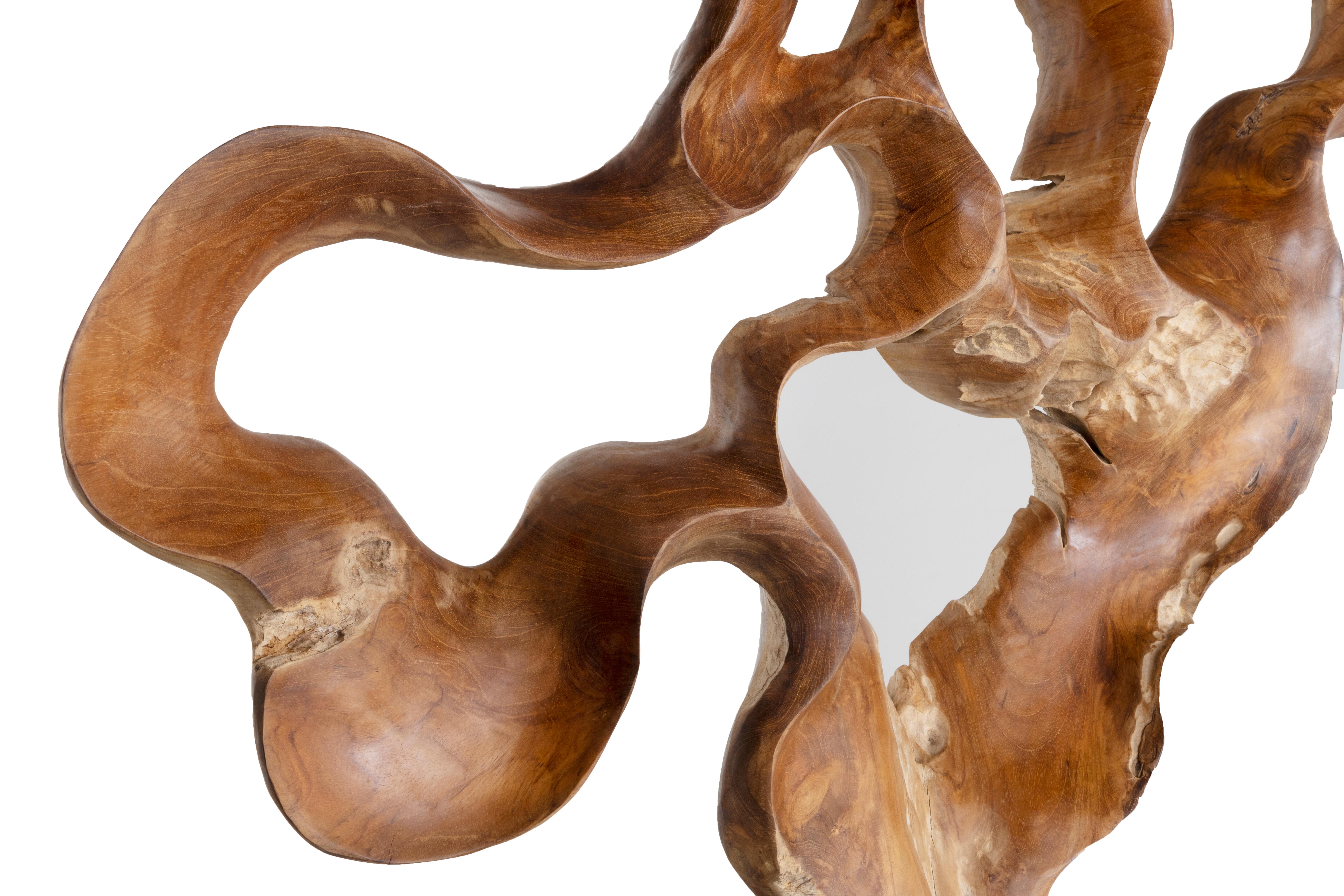 Contemporary Teakwood Organic Sculptural Accessory For Sale