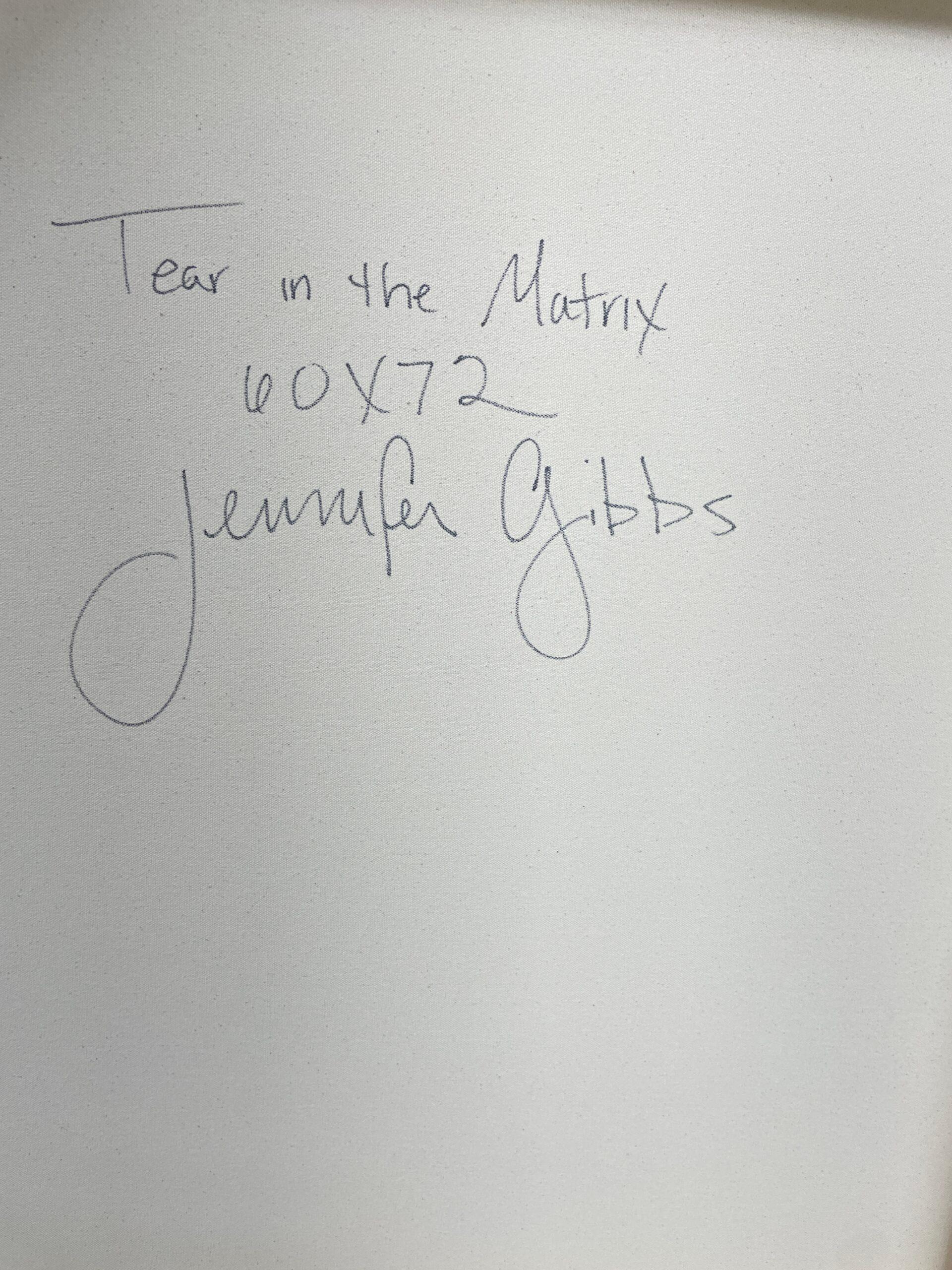 Riss in der Matrix von Jennifer Gibbs im Angebot 2