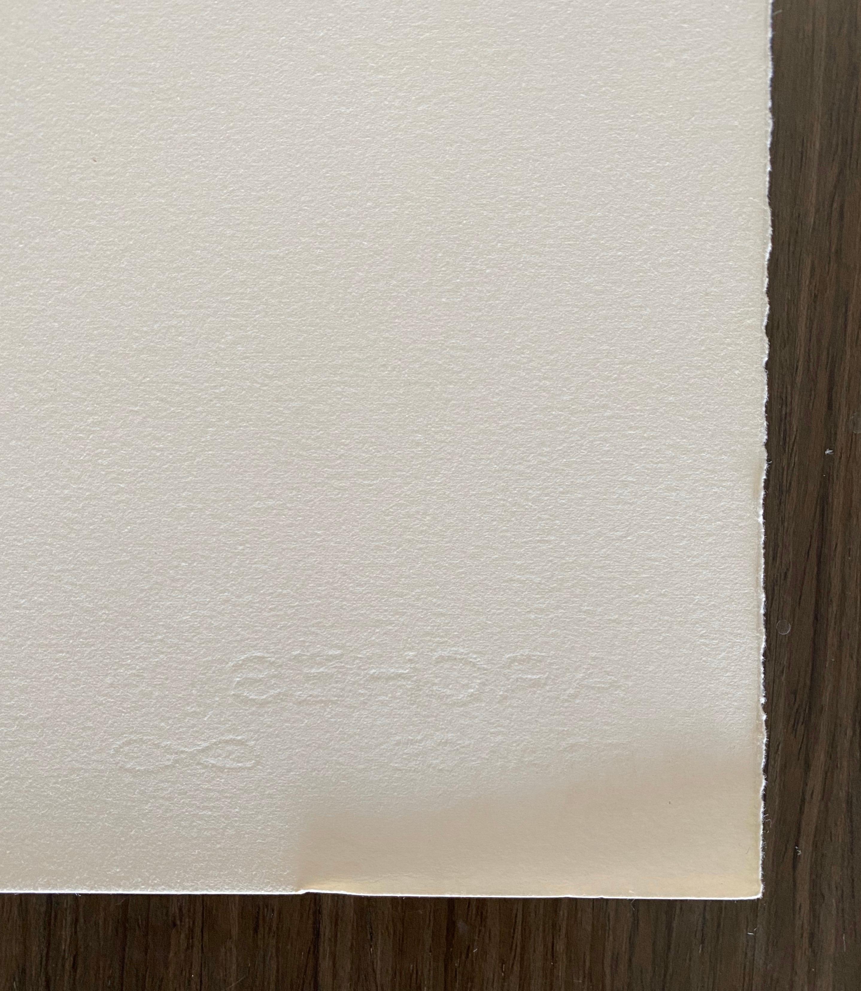 Serigrafía grande de Una casa en las dunas, arte popular americano en venta 1