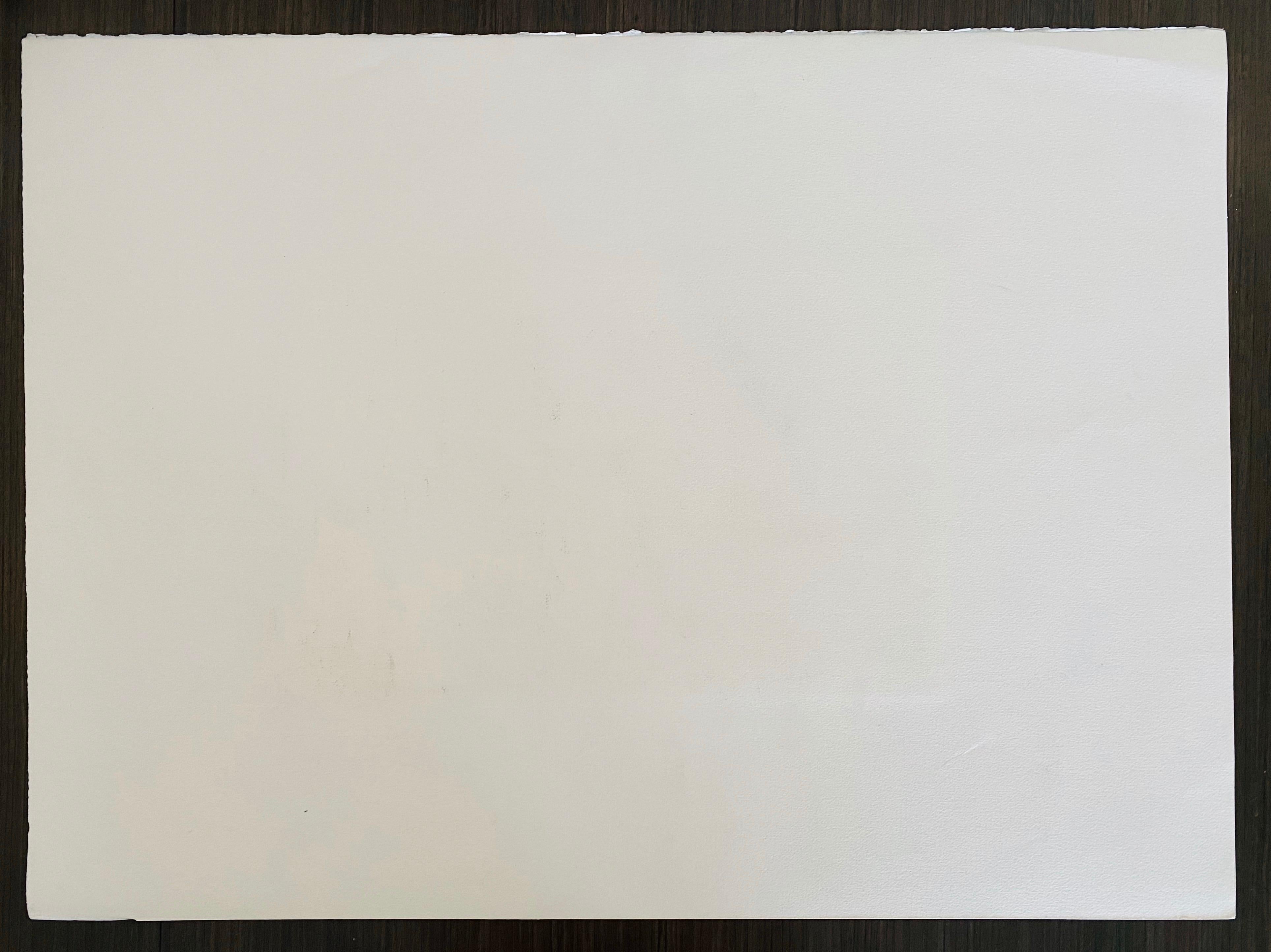 Serigrafía grande de Una casa en las dunas, arte popular americano en venta 2