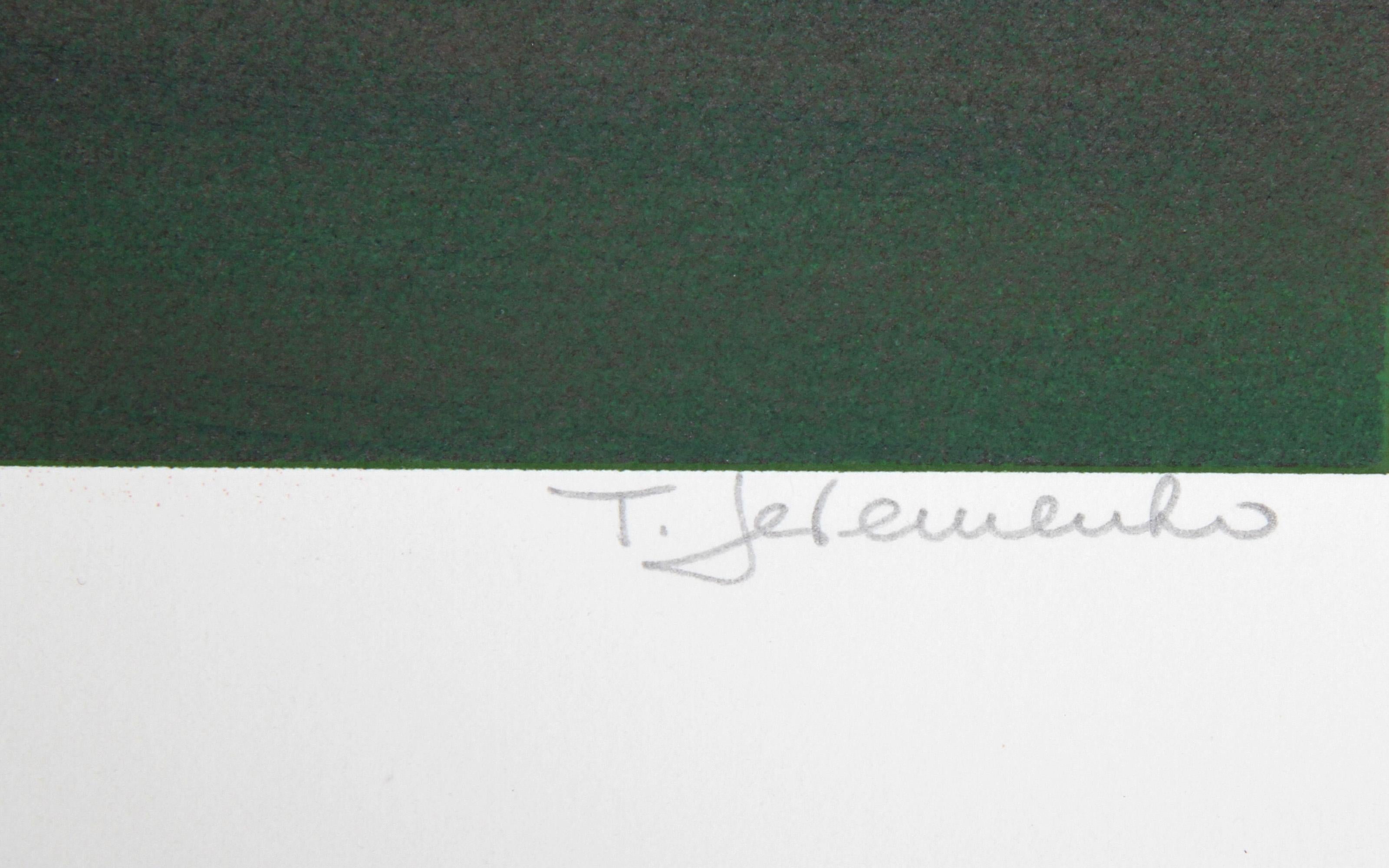 Tejados, Arte Popular Serigrafiado por Ted Jeremenko en venta 1