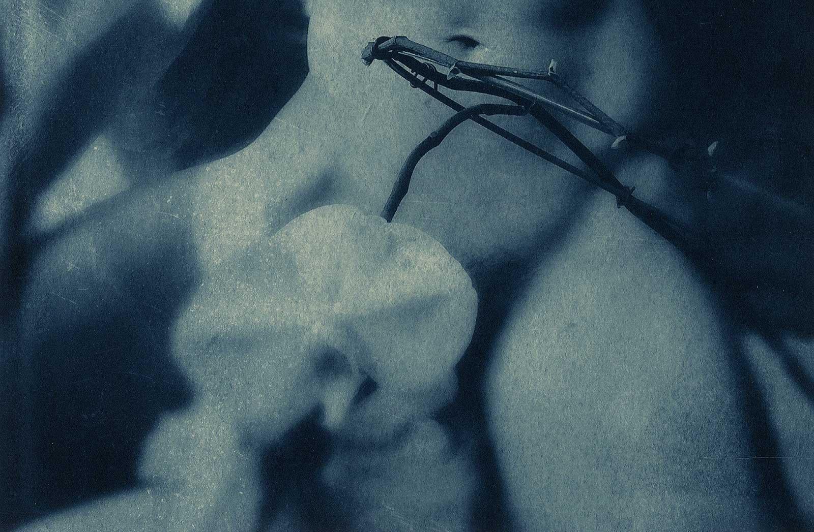 kelly kincaid nude