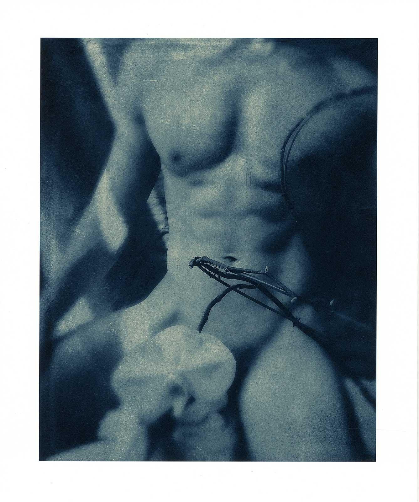 kelly kincaid naked