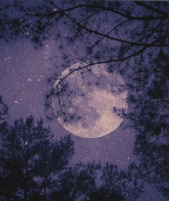 Die Lunar-Serie (Possible Moons)