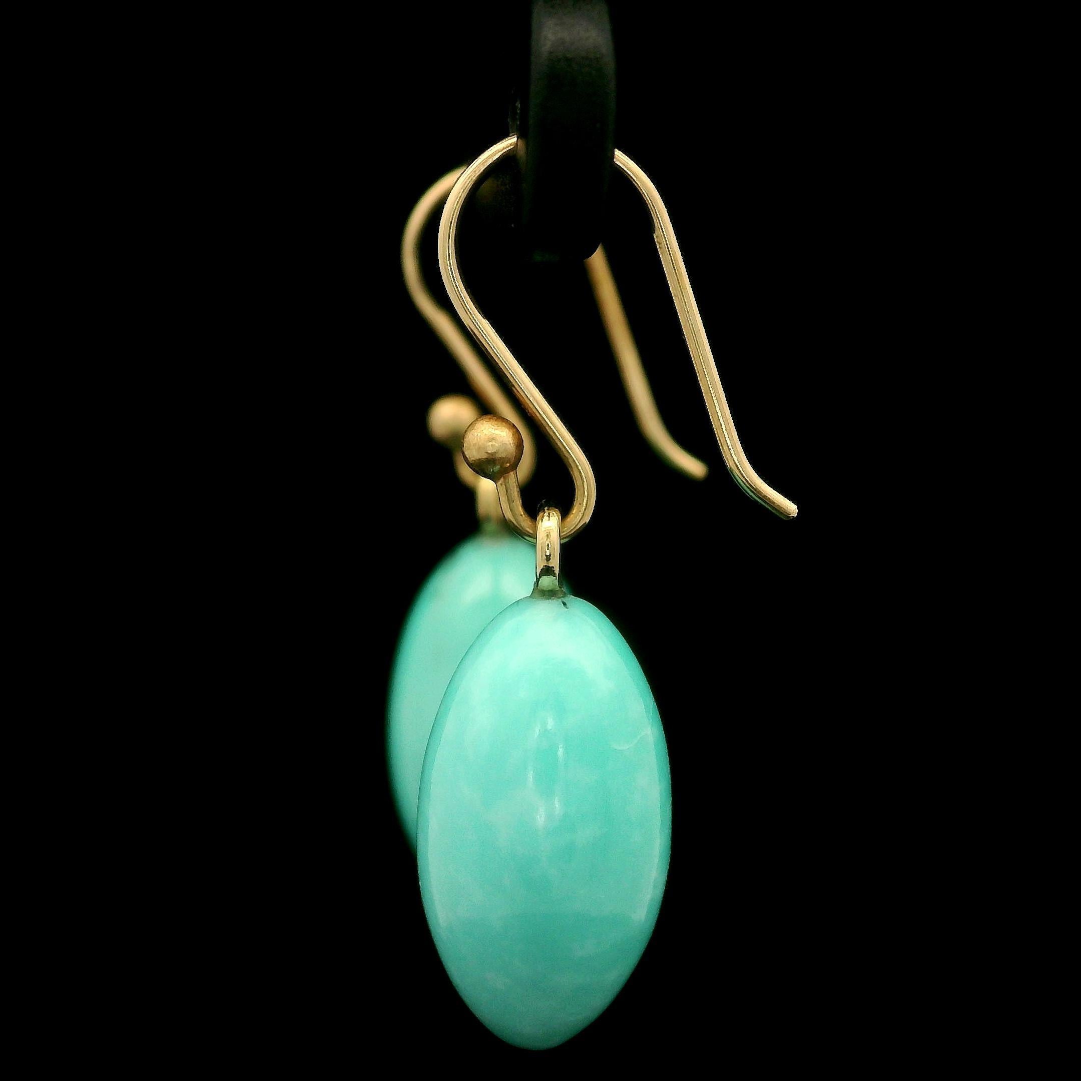 Ted Muehling 14k Yellow Gold Sleeping Beauty Turquoise Drop Hook Earrings 3