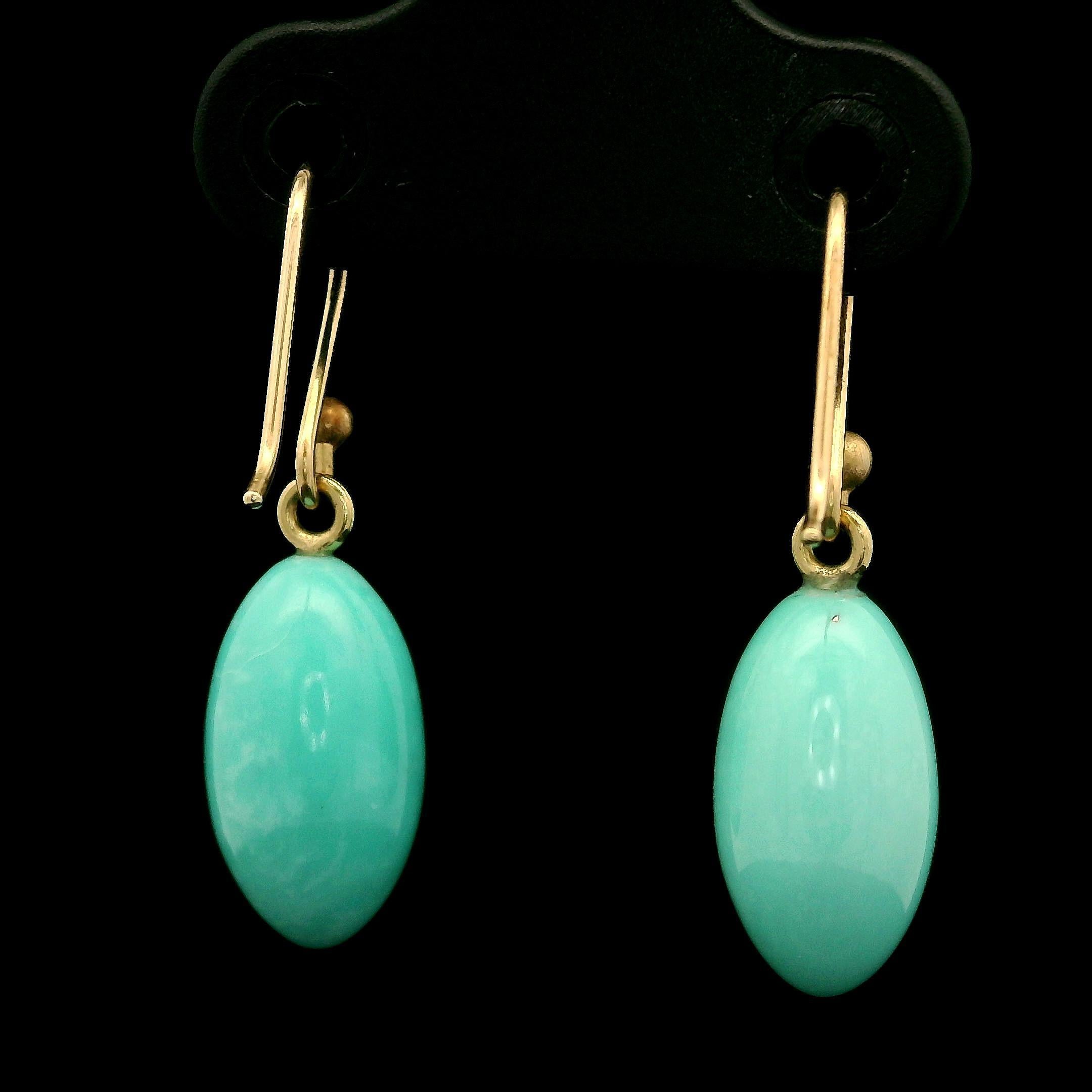 Ted Muehling 14k Yellow Gold Sleeping Beauty Turquoise Drop Hook Earrings 4