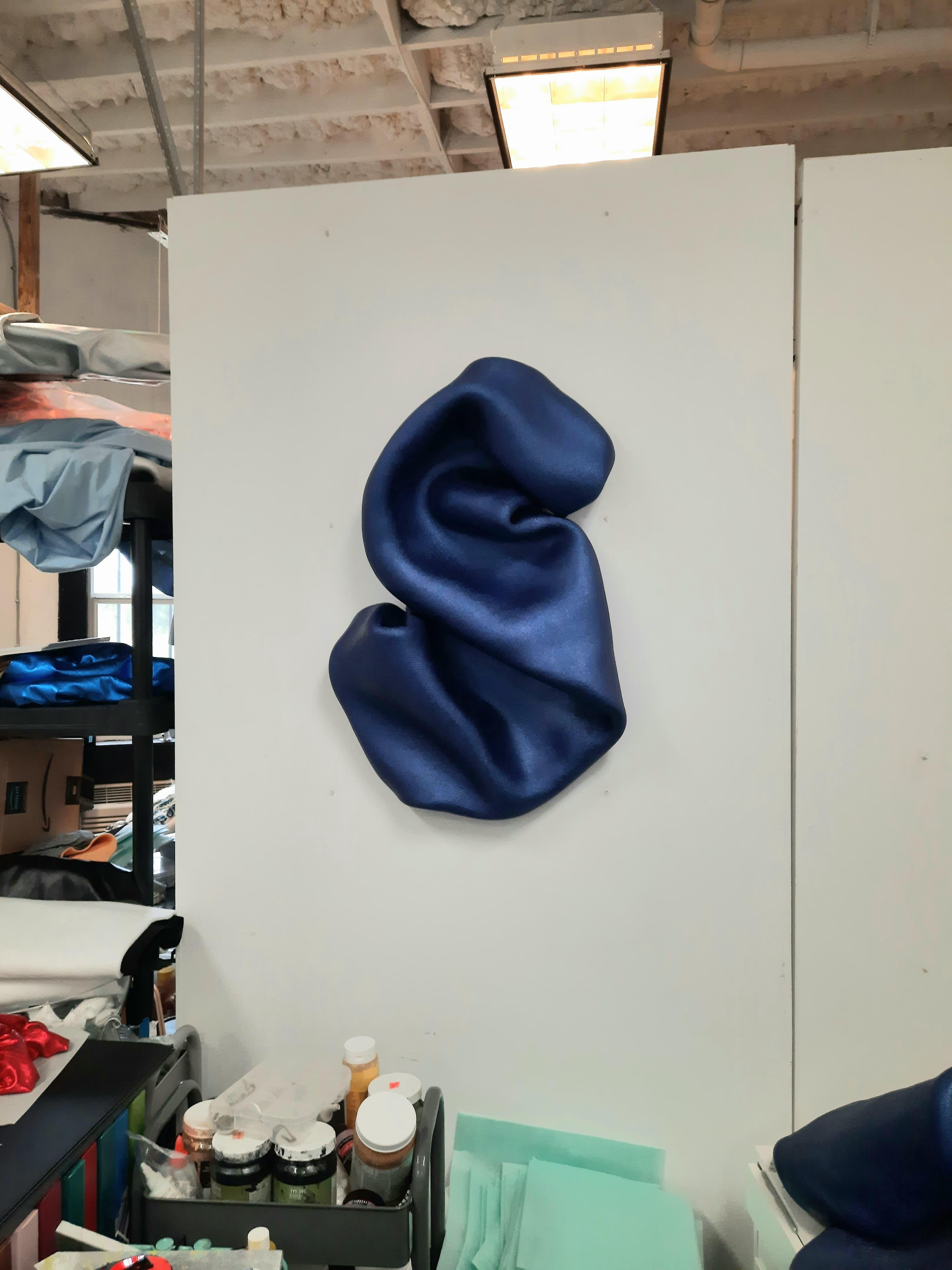Sinuosidad en blutonio (escultura mural minimalista arte curvilíneo azul clásico) - Mixed Media Art Minimalista de Ted VanCleave
