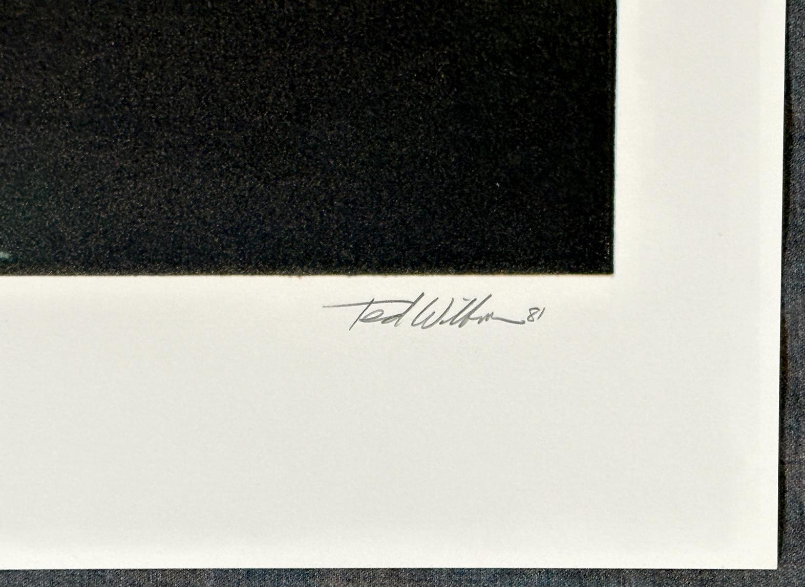 Artist: Ted Wilbur
Title: Bi-Plane
Year: 1981
Medium: Screenprint, signed and numbered in pencil
Edition: AP 3/30 (Artist Proof)
Image Size : 22 x 26 inches


Ted Wilbur is a naval aviator, combat artist, editor, and writer with more than thirty