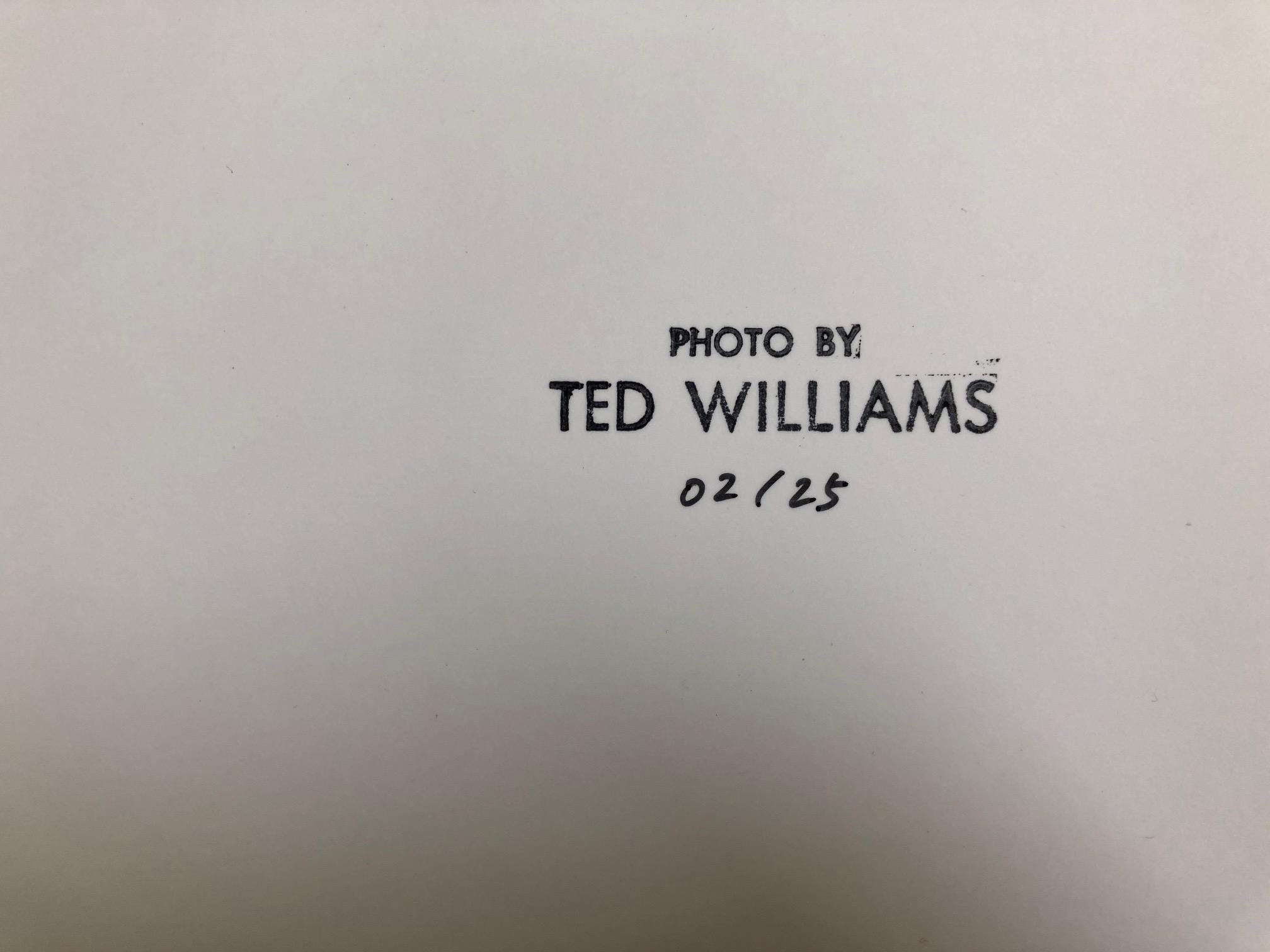 Ted Williams « Dr. Martin Luther King » en vente 1