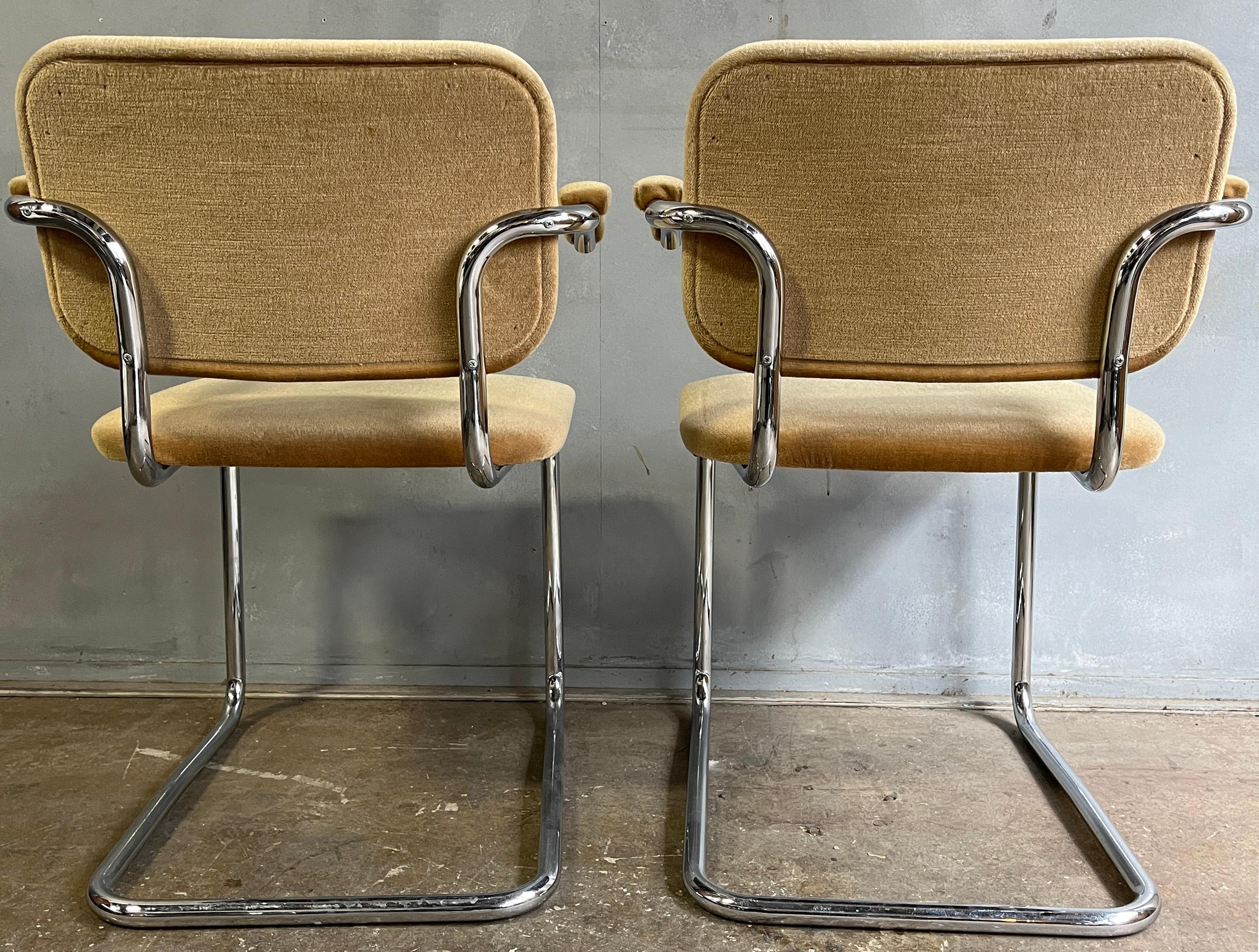 Teddy Bear Cesca Chairs by Marcel Breuer for Knoll 3