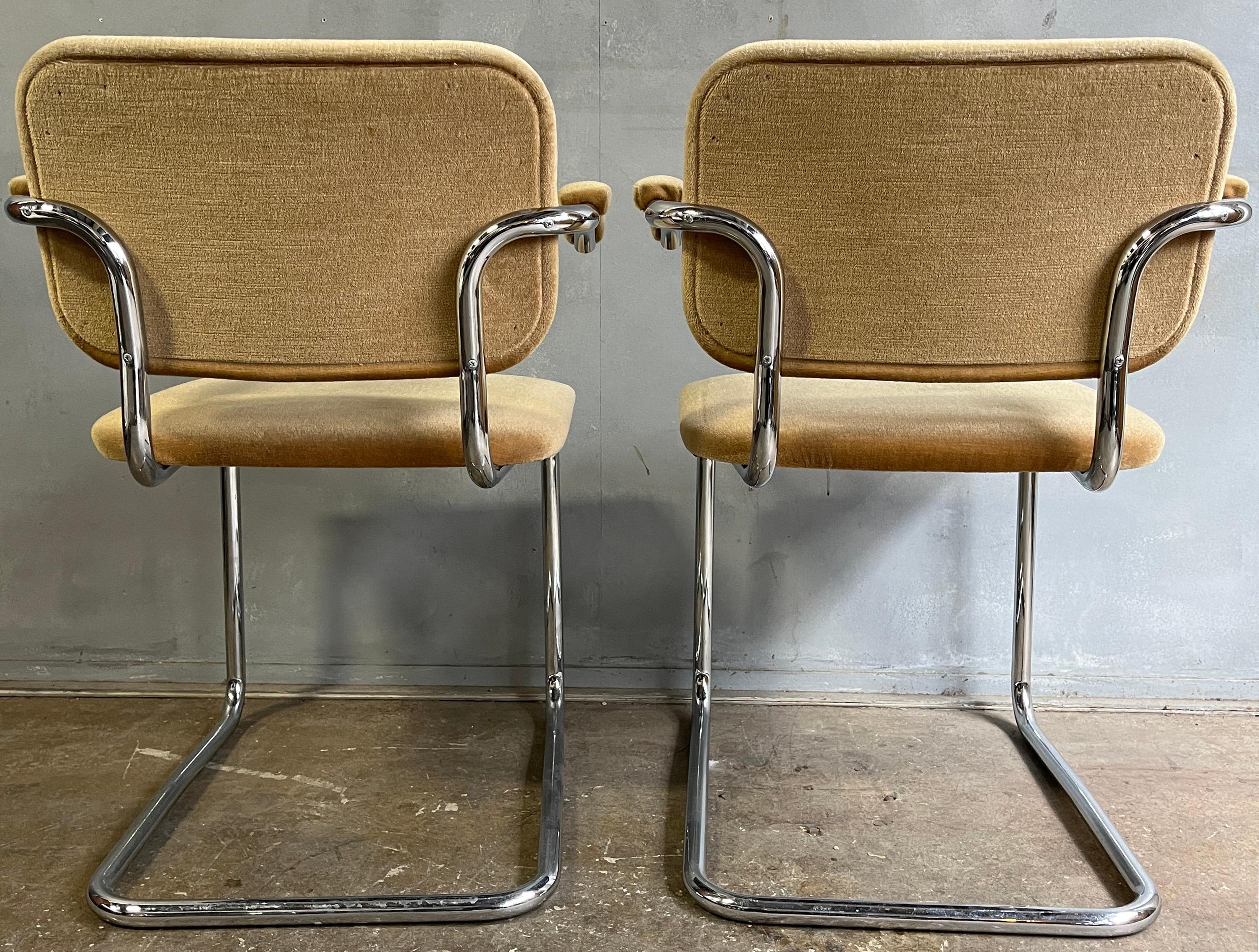 Teddy Bear Cesca Chairs by Marcel Breuer for Knoll 3