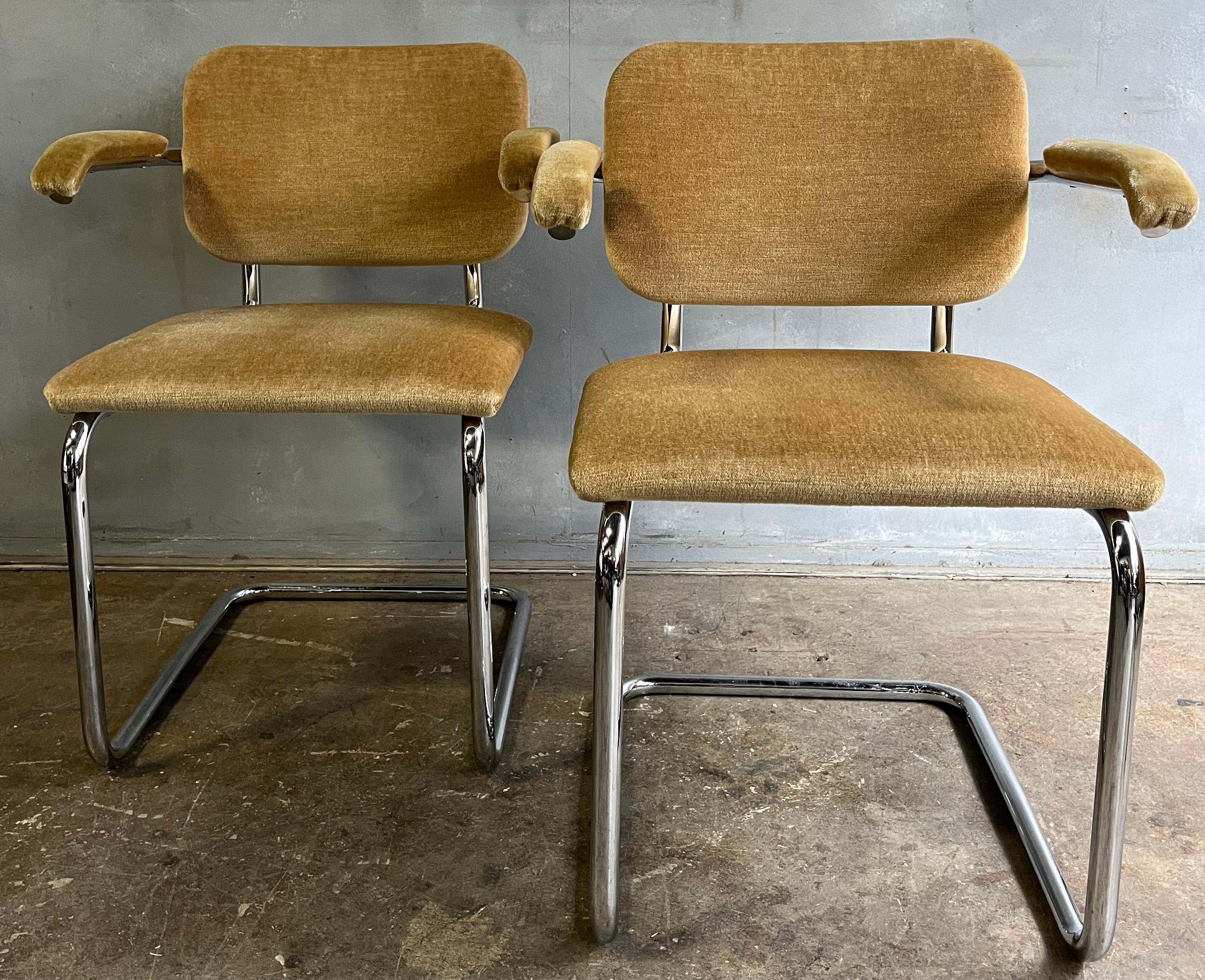 Teddy Bear Cesca Chairs by Marcel Breuer for Knoll 4