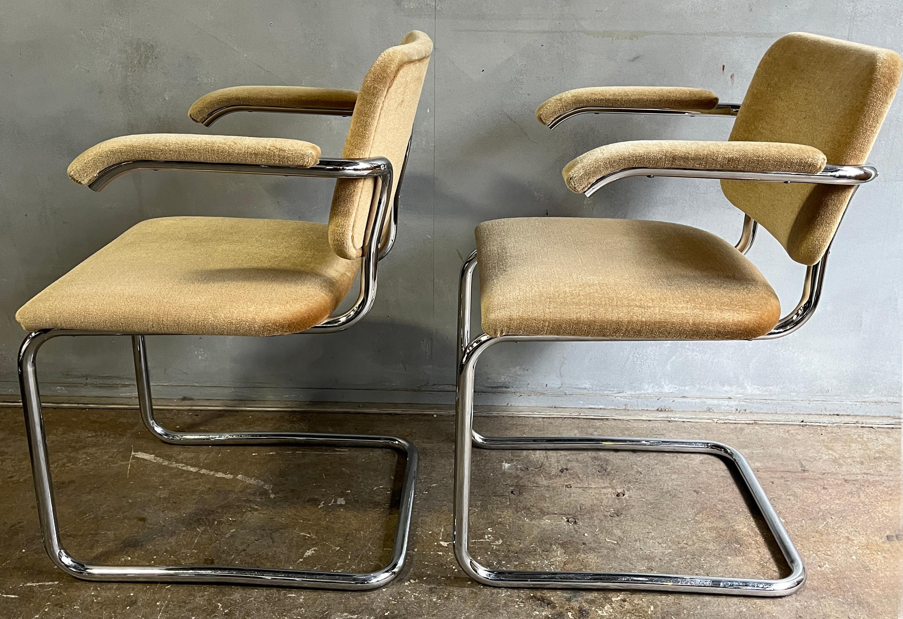 Mid-Century Modern Teddy Bear Cesca Chairs by Marcel Breuer for Knoll