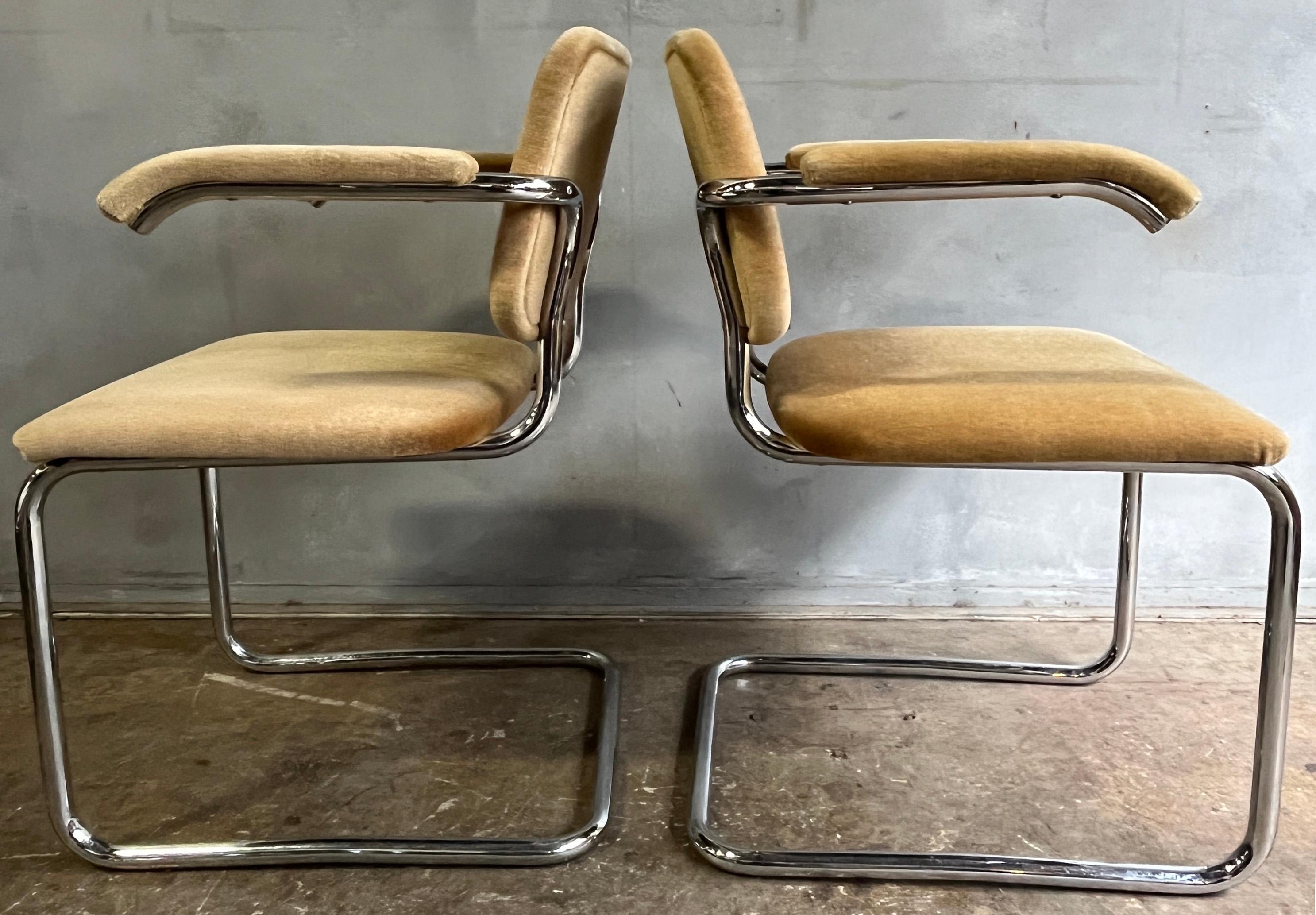 20th Century Teddy Bear Cesca Chairs by Marcel Breuer for Knoll