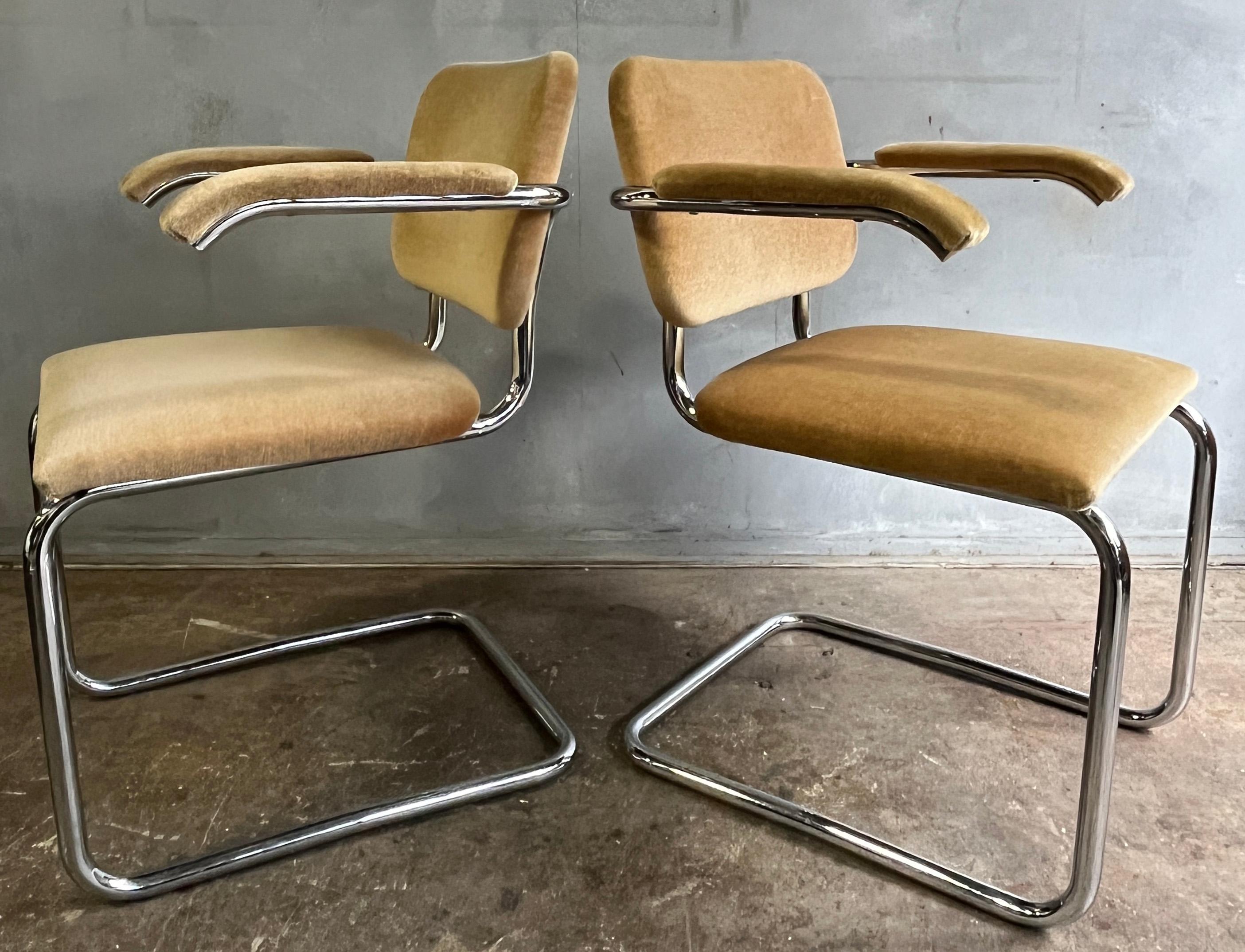 Teddy Bear Cesca Chairs by Marcel Breuer for Knoll 1