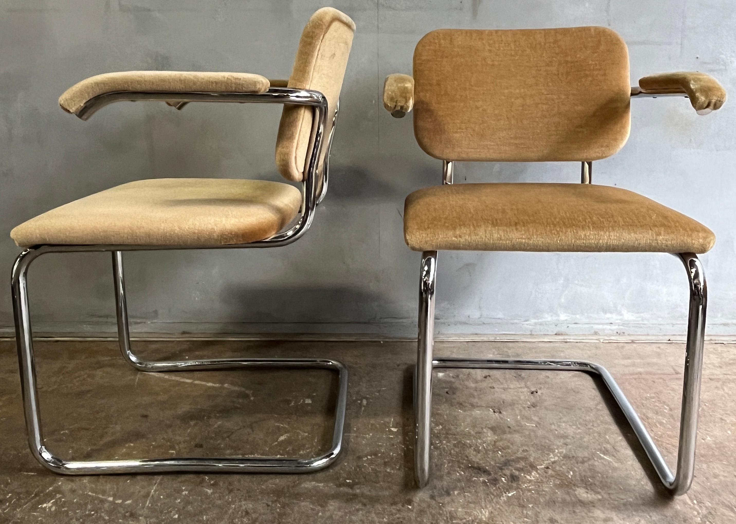 Teddy Bear Cesca Chairs by Marcel Breuer for Knoll 2