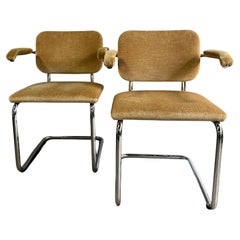 Vintage Teddy Bear Cesca Chairs by Marcel Breuer for Knoll