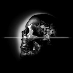 Tehos - When Flowers die, édition noire, photographie, jet d'encre d'archives