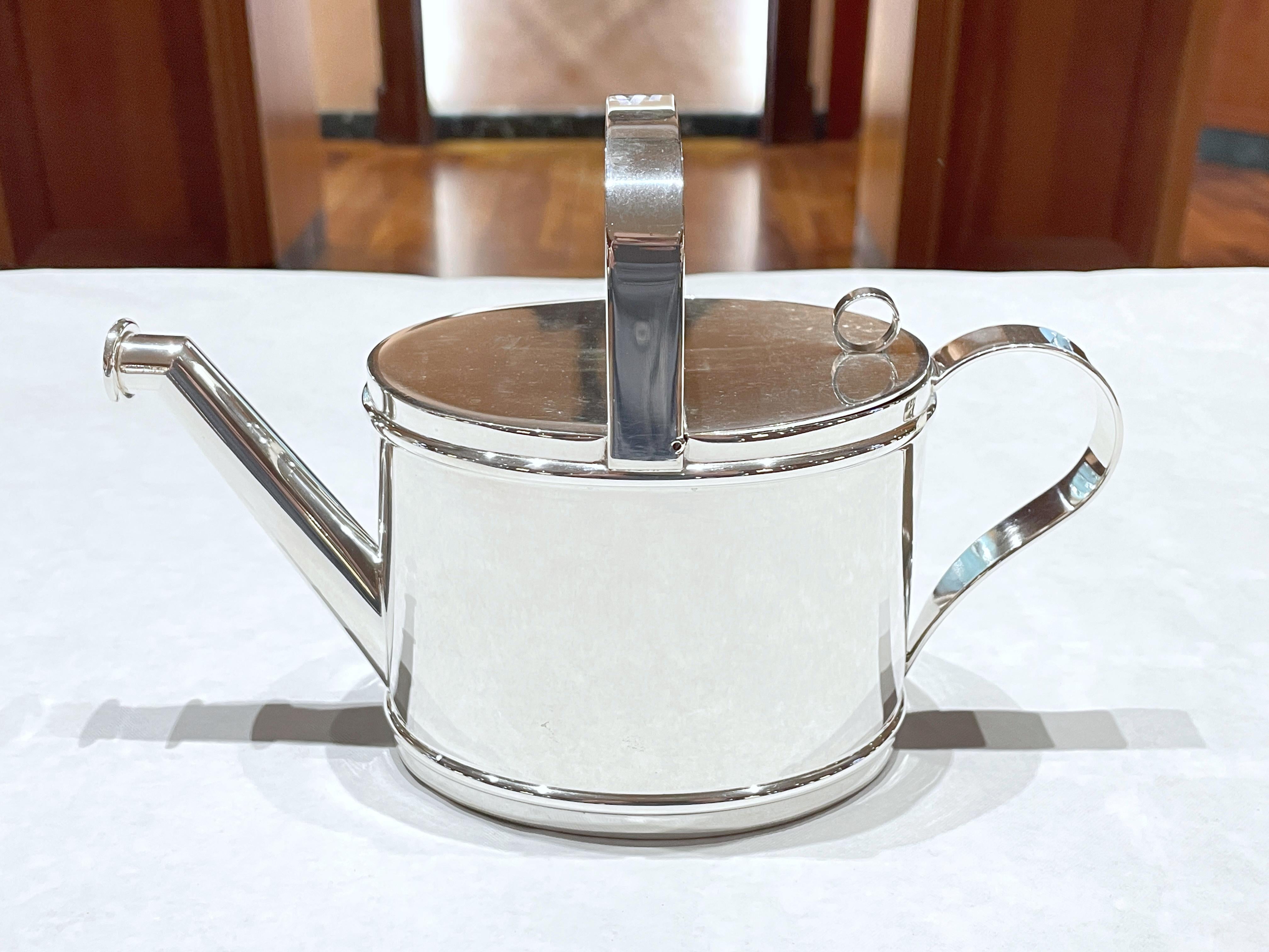 Contemporary Silver watering can teapot