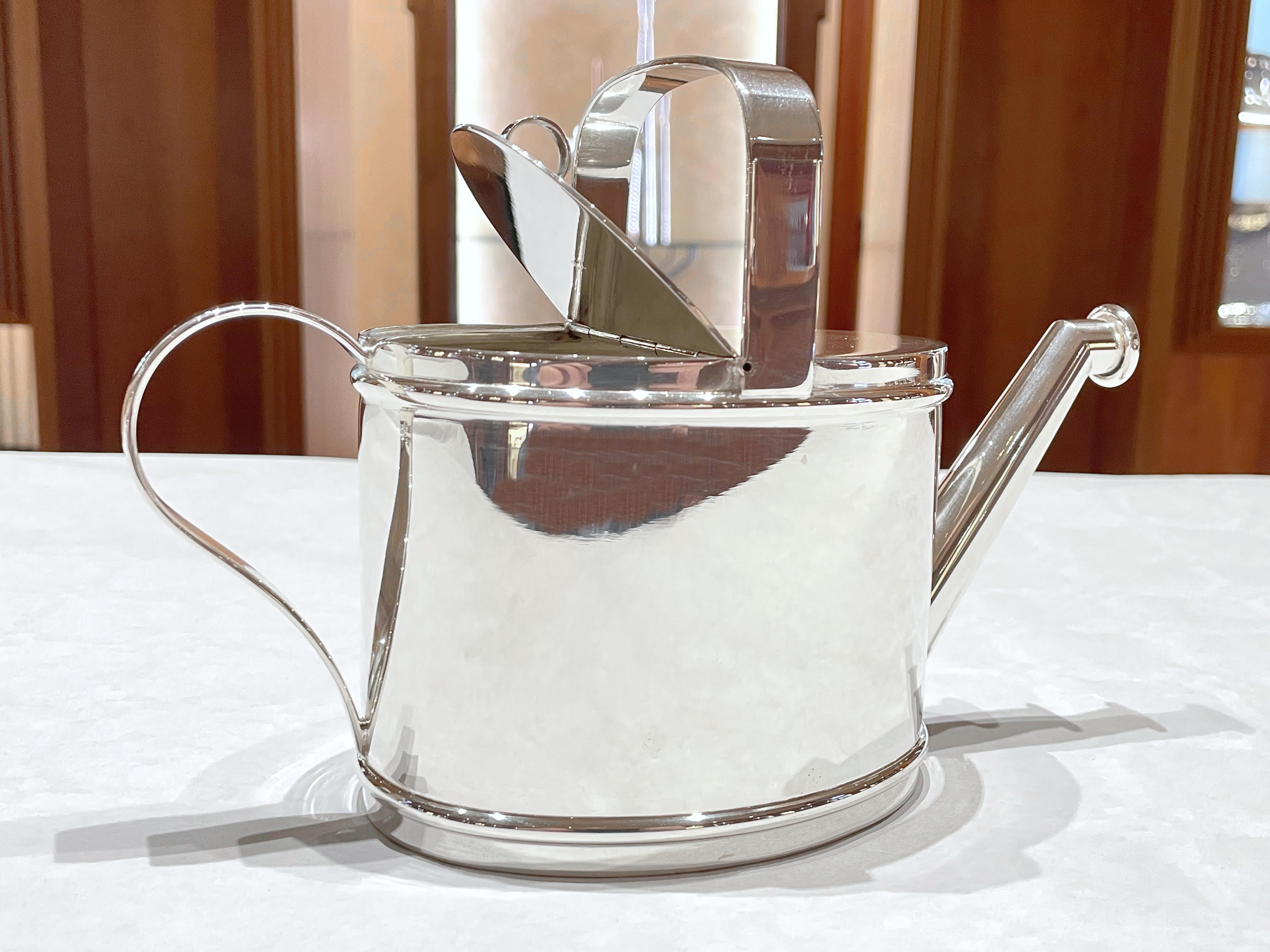Women's or Men's Silver watering can teapot
