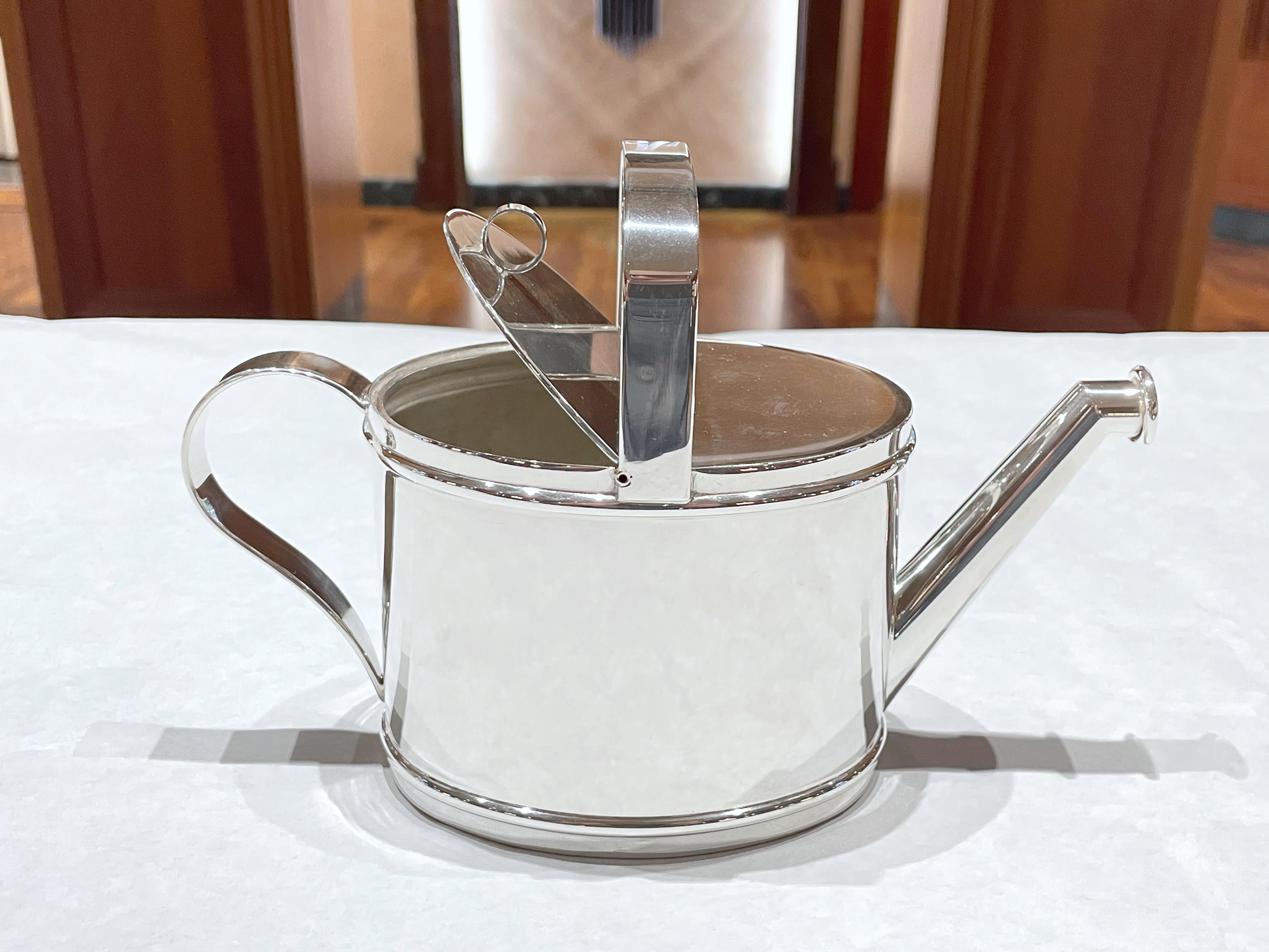 Silver watering can teapot 1