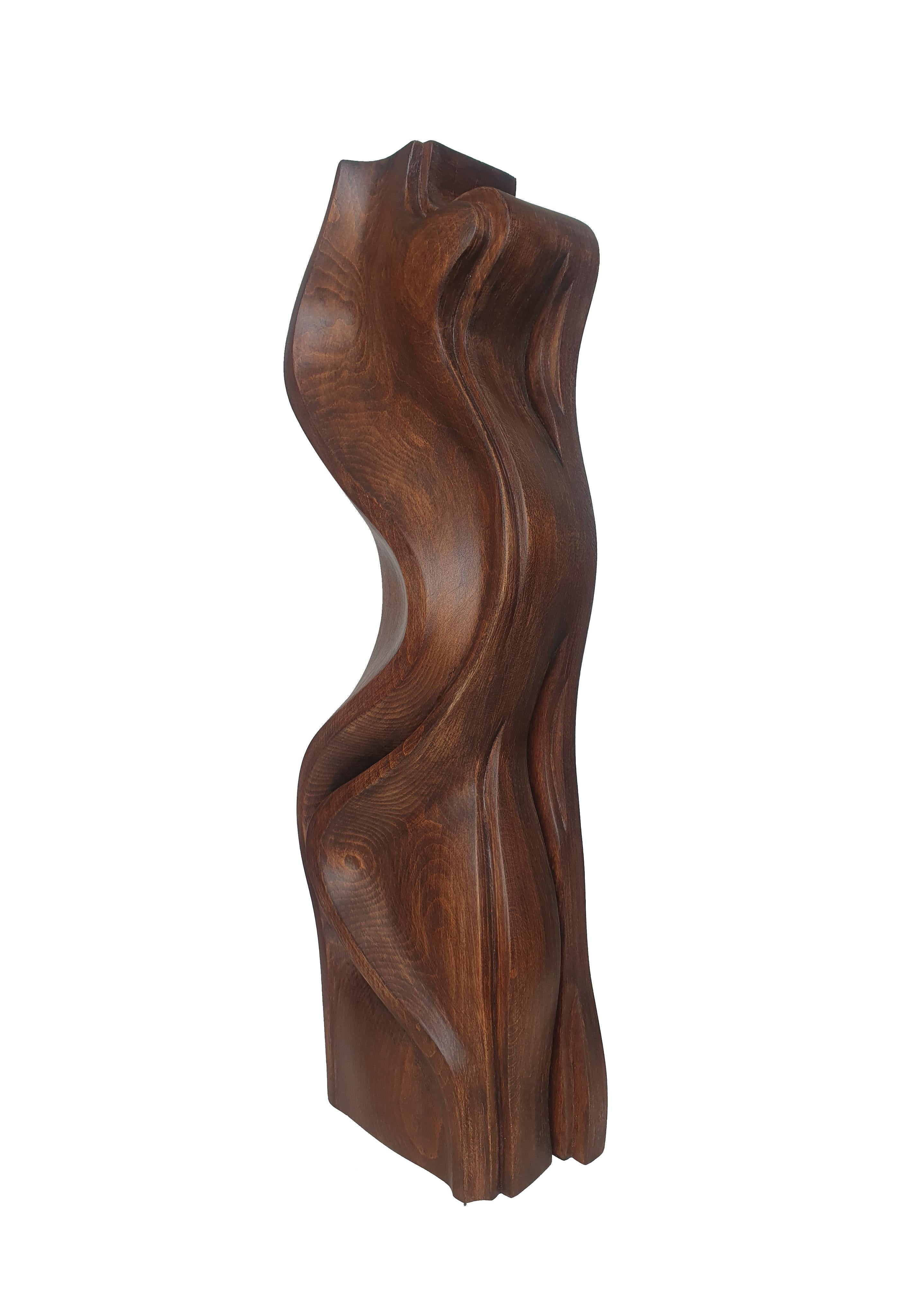 Escultura georgiana contemporánea de Teimuraz Sarishvili - Torso en venta 3
