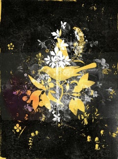 Rise up!, Mixed Media on Canvas