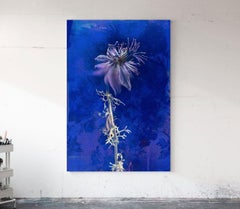 Laufsteg wild, Mixed Media auf Leinwand