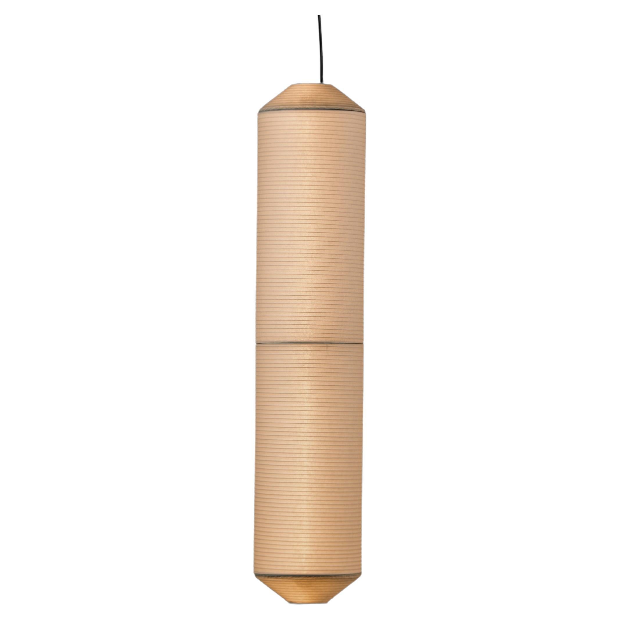 Tekiò Vertical P2 Pendant Lamp by Anthony Dickens For Sale