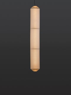 Tekiò Vertical P3 Pendant Lamp by Anthony Dickens