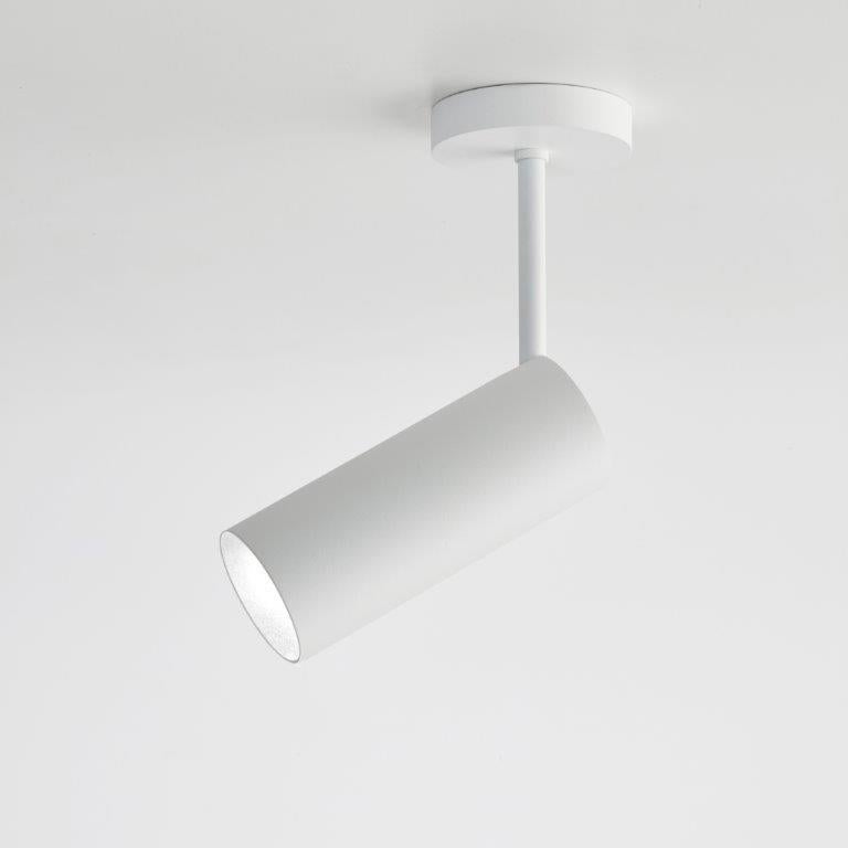 Feu directionnel monté en surface. Plaque de plafond avec spot lumineux, réglable axialement de 0° à 90° - directionnellement de
0° à 350°. Maximum : plaque de plafond Ø 75mm - hauteur plaque de plafond 15mm - hauteur maximale 260mm - tube Ø
55mm -
