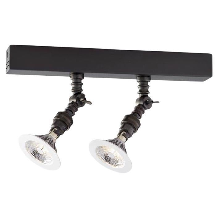 Tekna Lilley Rail Luz LED de 300 mm con dos focos en bronce oscuro en venta